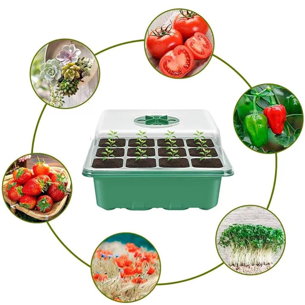 YOOAEFRTY 3-Pack Garden Propagator Plant Germination Set with Adjustable Humidity Dome and Base Greenhouse Grow Trays for Seeds Growing Starting (12 Cells per Tray)