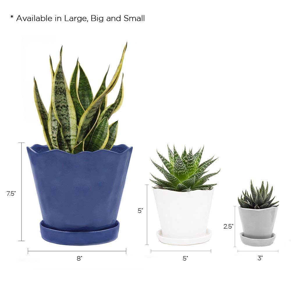CHIVE ‘Tika’ Big Succulent Pot — 5” Cute Planter Pots for Indoor Plants — Beautiful Modern Decor for Home & Kitchen — Grey
