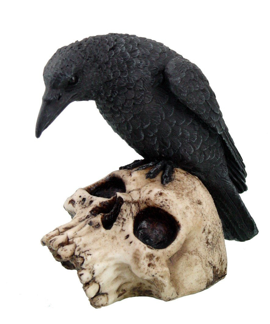 Pacific Giftware 5 Inch Halloween Black Raven on Skeleton Skull Statue Figurine