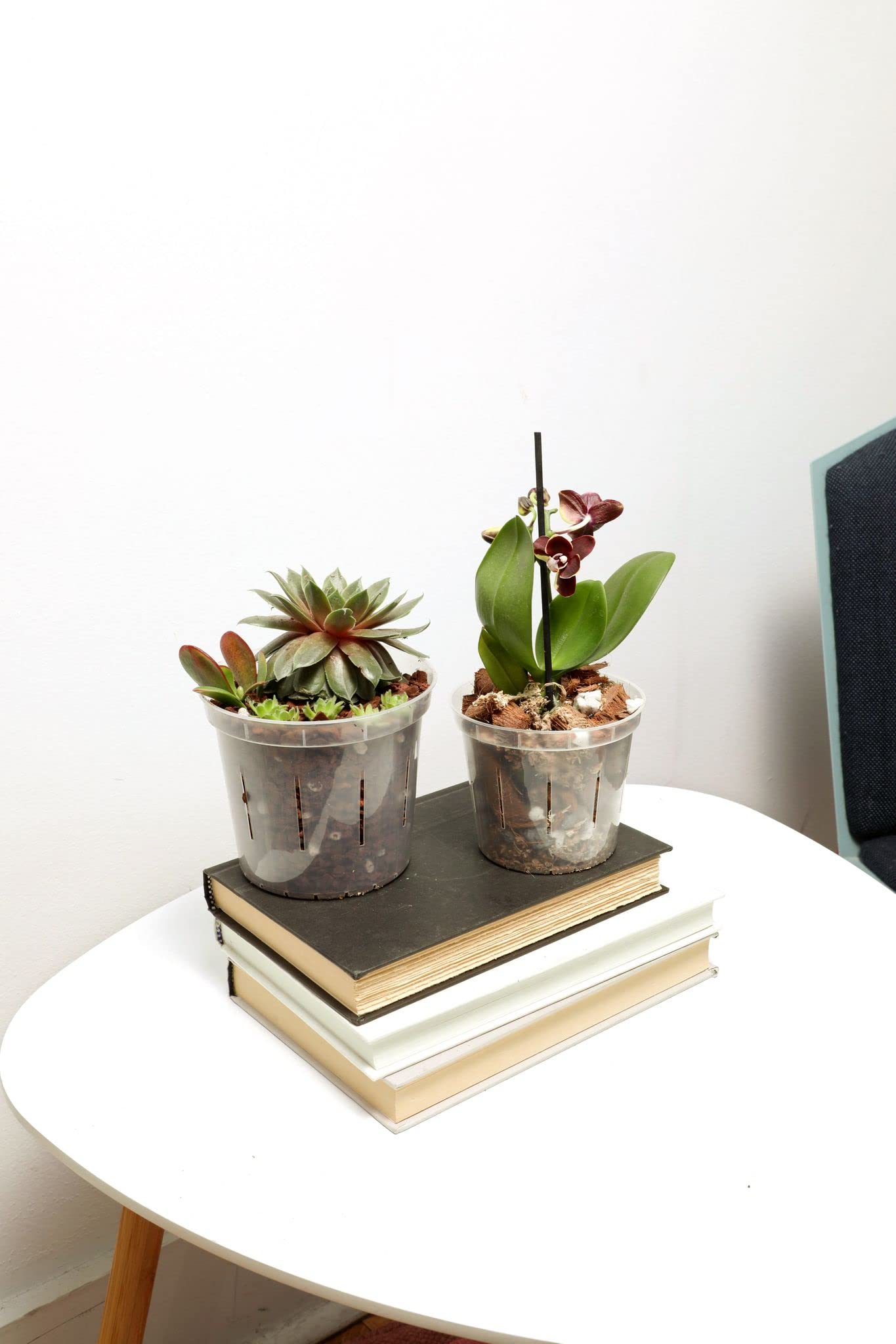 Repotting Bundle
