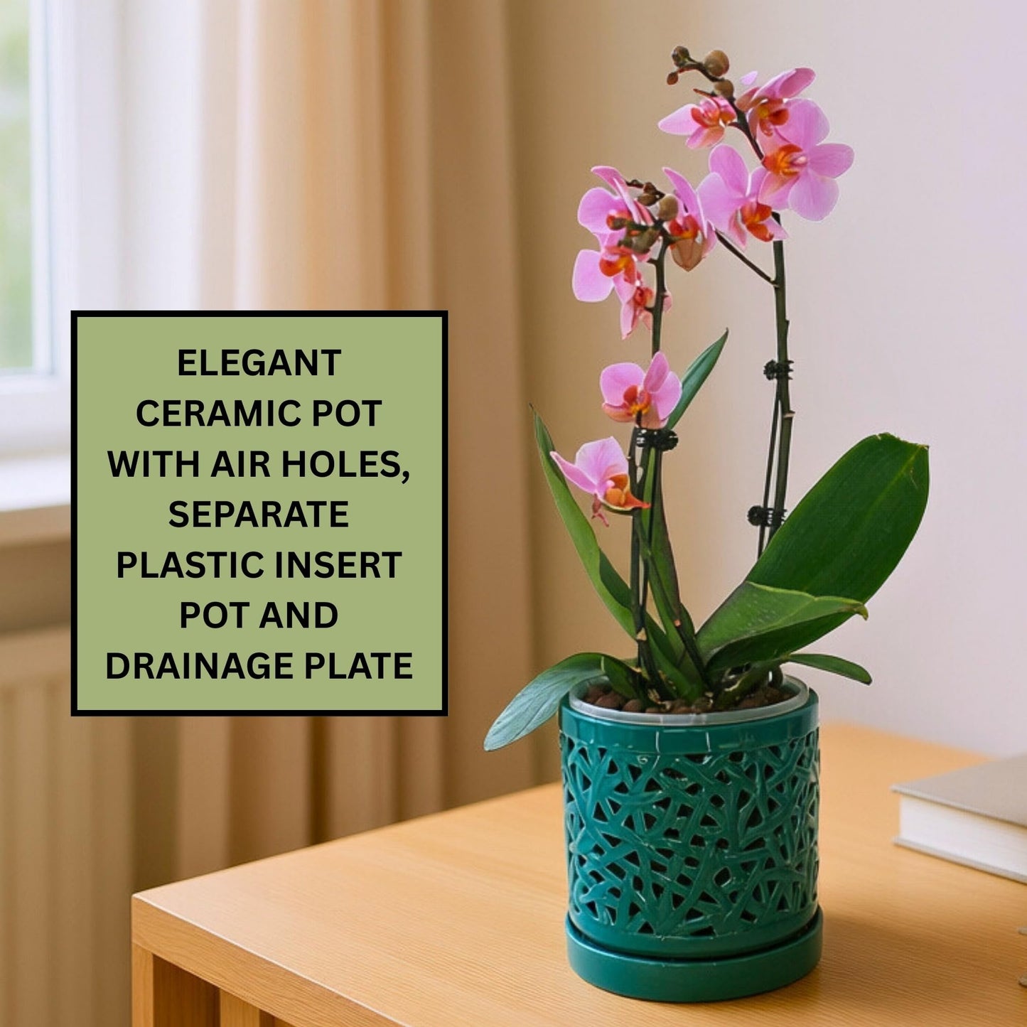 DESQUIGGLE Green Large Ceramic Orchid Pot with Holes, 6 Inches Wide, for Indoors or Outdoors with Woven String Cut Out Design, Orchid Planters, Orchid Gifts