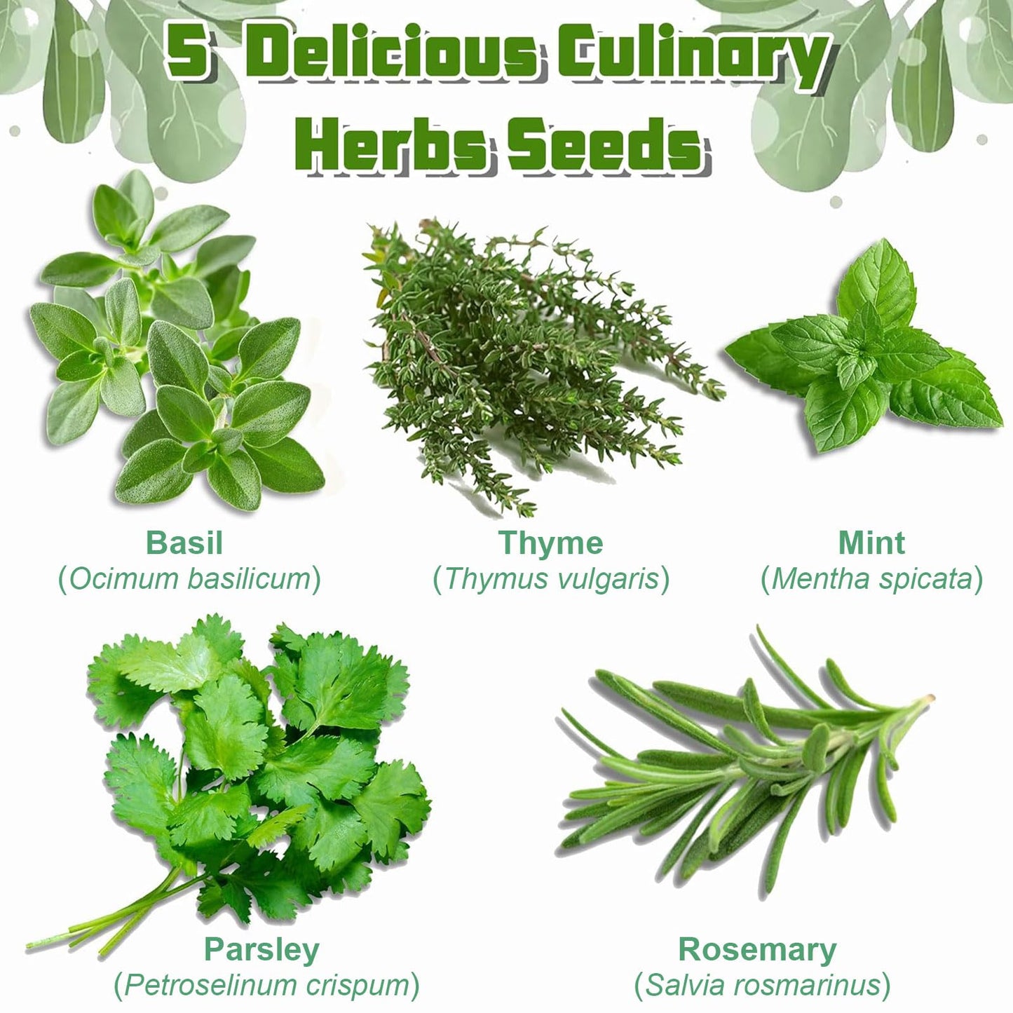 Indoor Herb Garden Starter Kit, Including A Complete Gardening Tools for Women Parents Gift