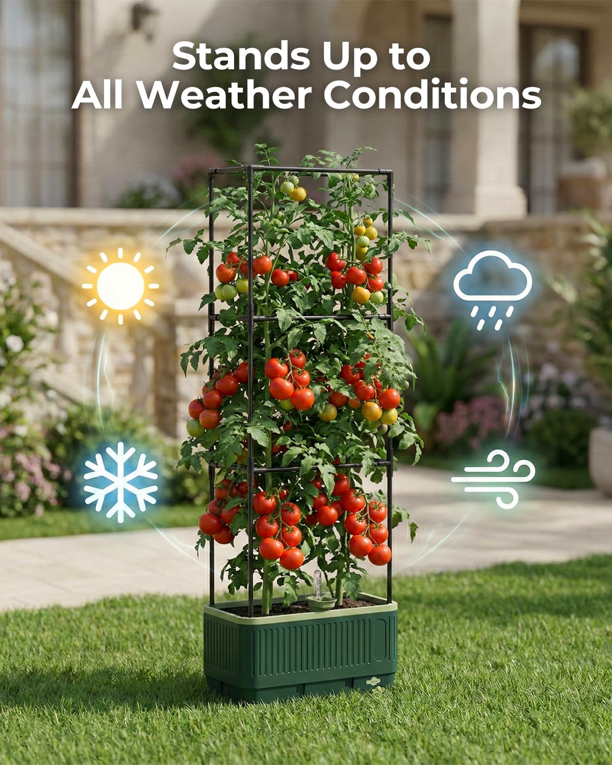 Tomato Planter with Trellis, Self Watering Planter Box with Trellis, Vertical Raised Garden Bed Planter for Climbing Vegetables Indoor Outdoor Patio