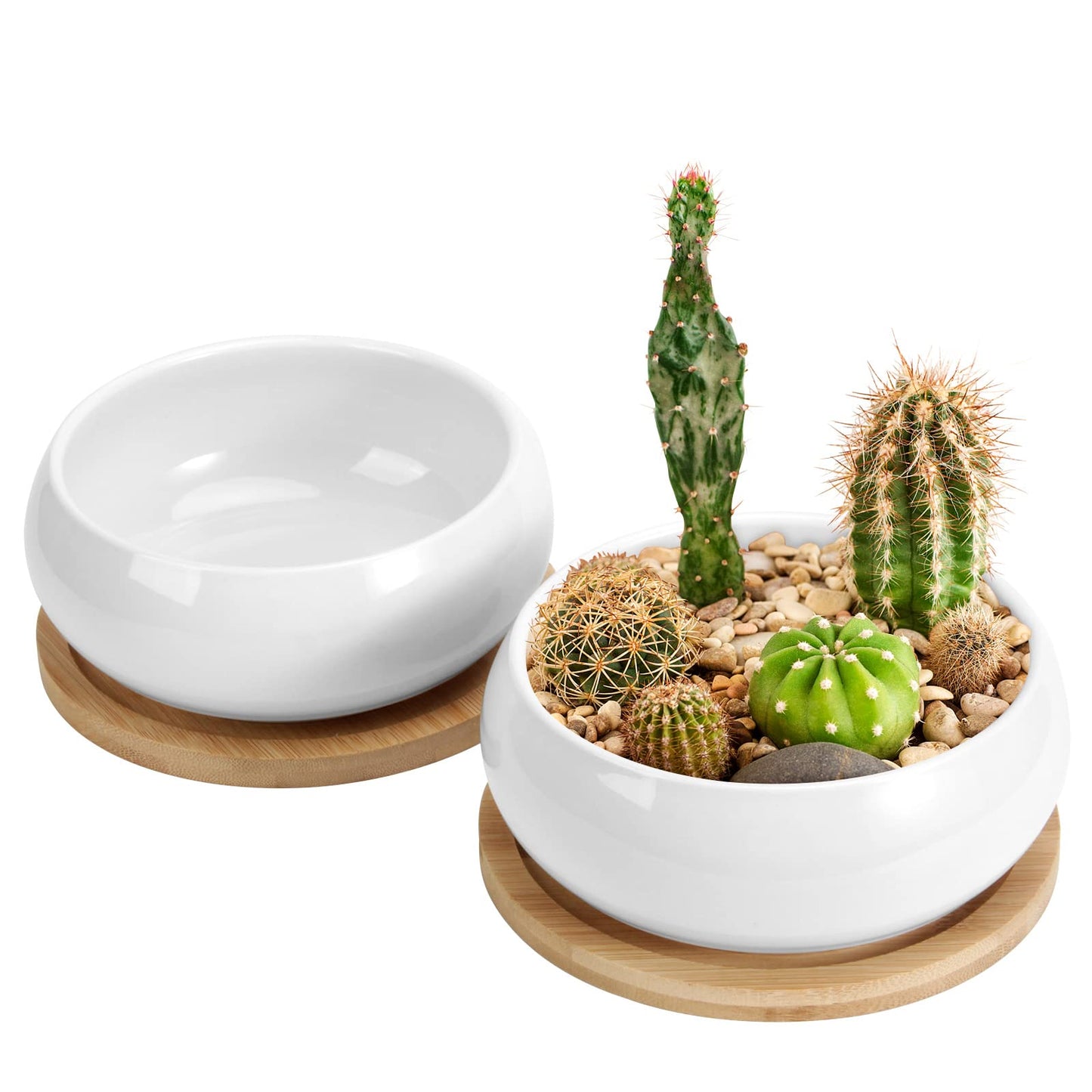 ZOUTOG Succulent Pots, White Mini 3.15 inch Ceramic Flower Planter Pot with Bamboo Tray, 6 inch Ceramic Planters for Indoor Plants, Plants Not Included