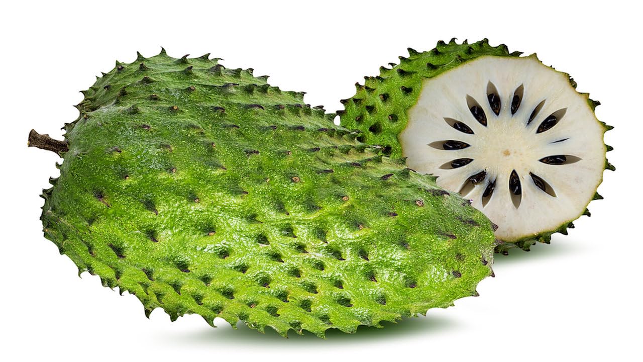 10 Pack Fresh Soursop Seeds- 100% Fresh Natural Soursop Fruit Guanabana Seeds 10x…