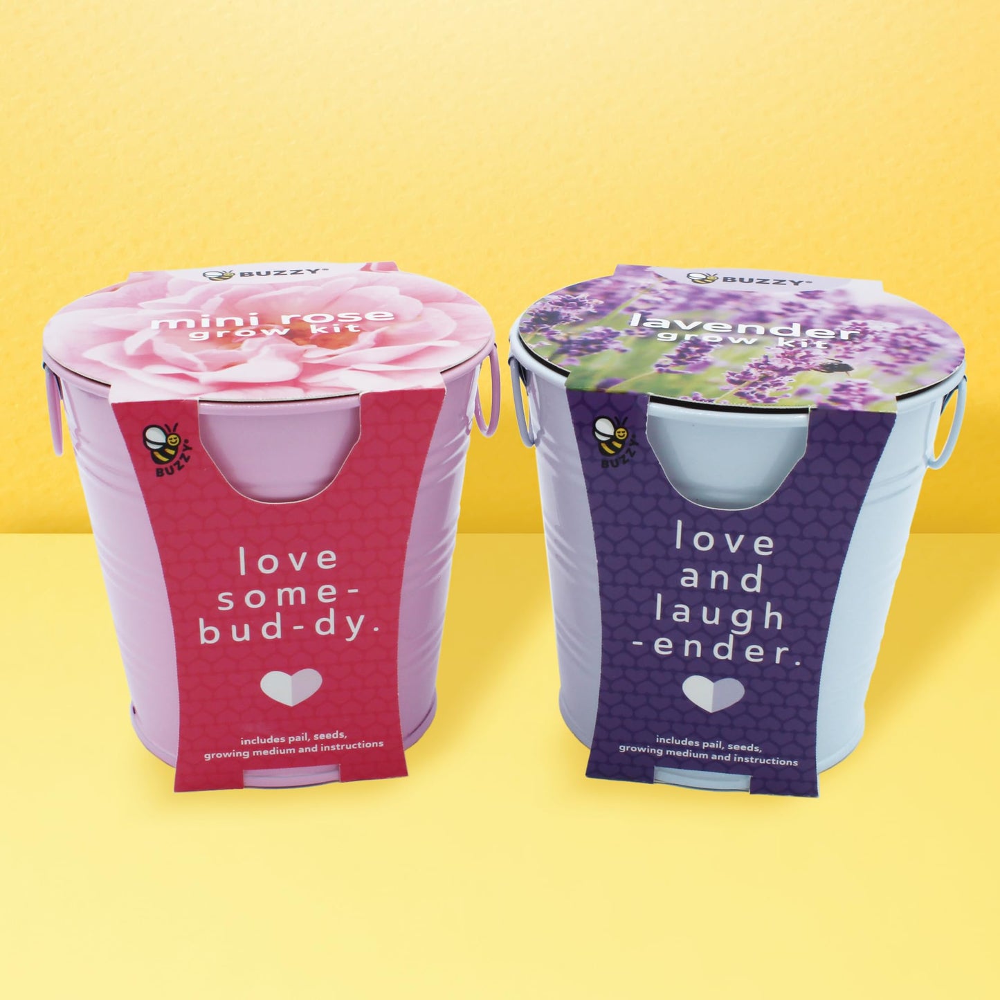 BUZZY Seeds Love Pails Grow Kit, 2-Pack – Valentine’s Day Mini Garden Gift with Colorful Pails, Mini Rose & Lavender Seeds, Growing Medium Included, Indoor Starter Seed Kit