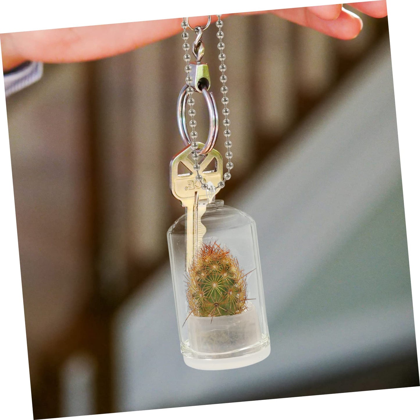 POPETPOP 6pcs Glass Terrarium Keychain for Air Plant Hydroponic Decor Keychain Accessory