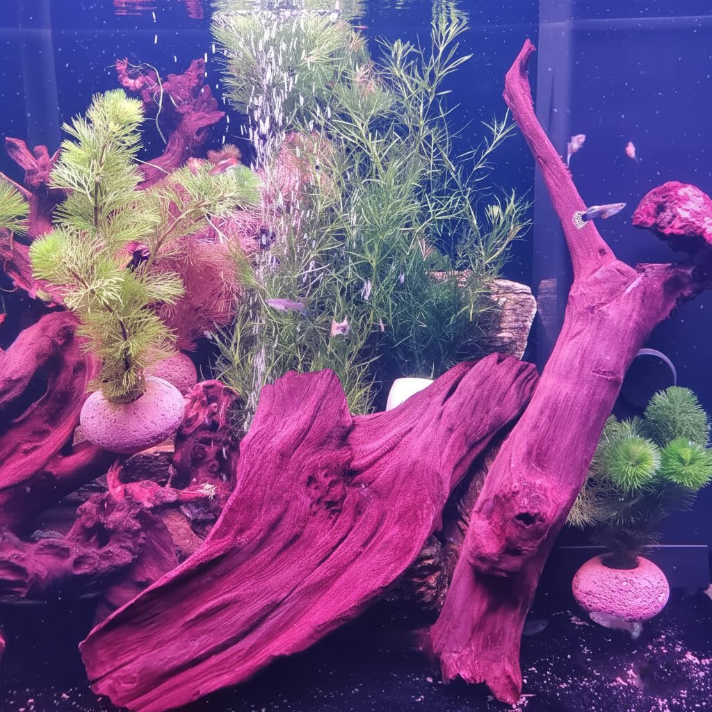 emours Driftwood Branches Reptiles Aquarium Decoration Assorted Size,(6-10 inch in Length),4 Pieces