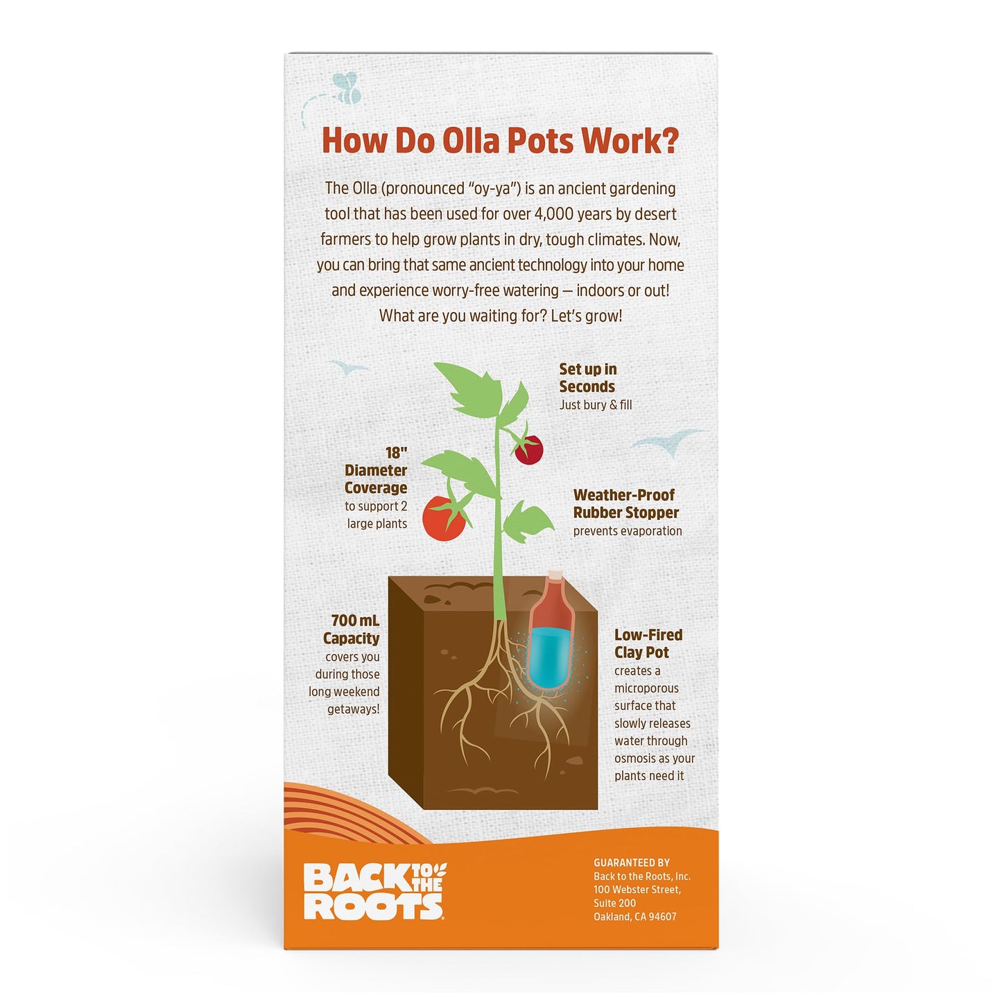 Back to the Roots Self-Watering Terracotta Olla Pot (Pack of 3), 700mL Provides 1 Week of Precision Watering