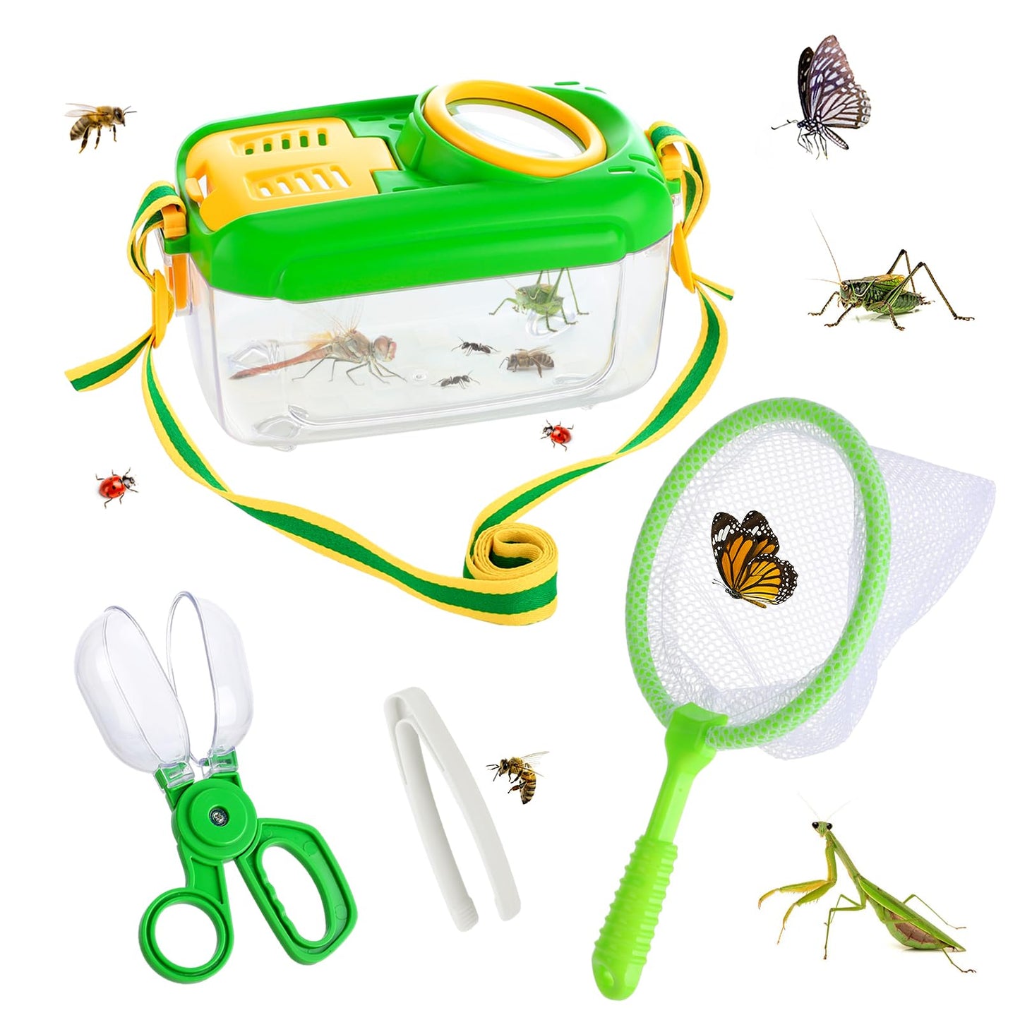 Biubee Bug Catcher for Kids- Sturdy Bugs Catching Kit with Collector Butterfly Net Tweezer, Bug Habitat Outdoor Explorer Kit Gift for Kids Age 3 4 5 6 7 8, 8Pcs, Green