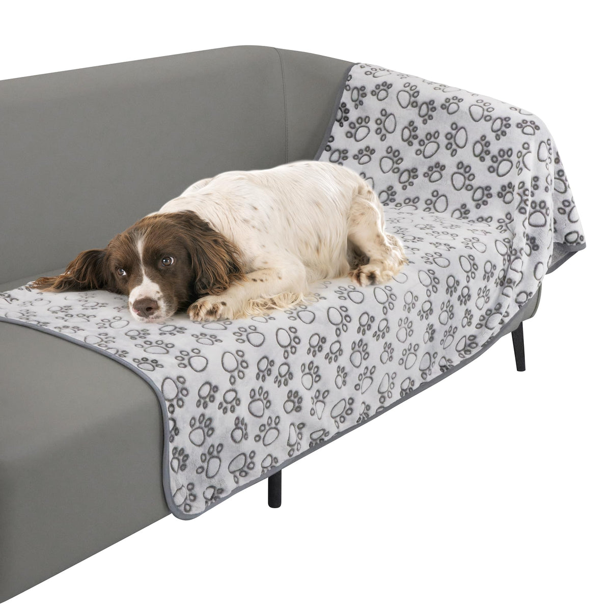 Stuffed Large Brown Premium Soft Dog Blanket, with Flannel Cute Paw Print, 43 * 66 inches, Cat Blanket Maltipoo Puppy Essentials