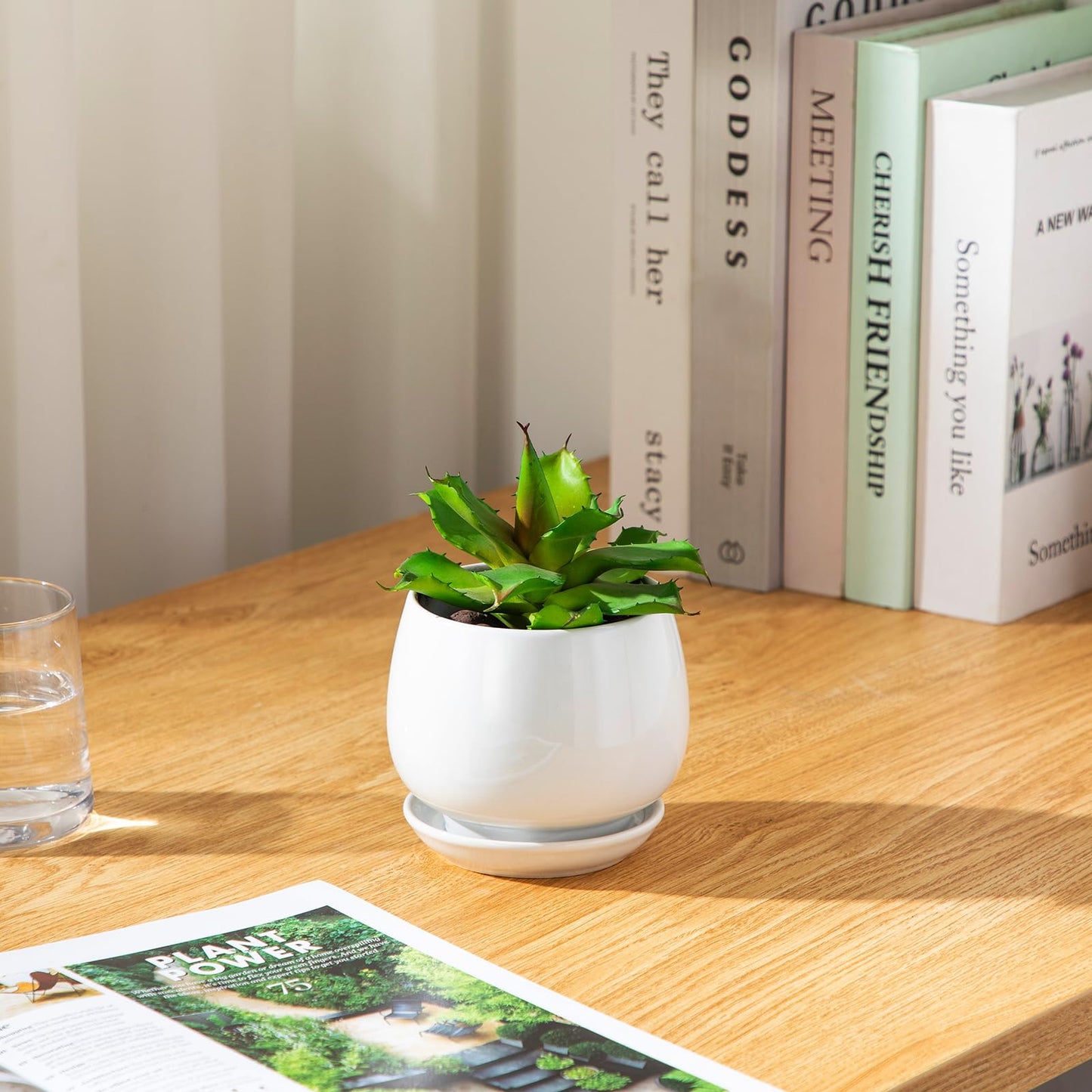 vancasso 3-Pack Ceramic Plant Pots, 3.7/4.8/6.2 Inch Indoor Planters with Saucers & Drainage Hole Planter pots for Indoor Plants and Flower, White
