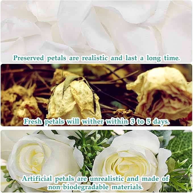 Dried Real Rose Petals, Natural Preserved Dry Flower Petals for Wedding Party Dinner Table Decor, Romantic Night for Her Set, Engagement, Bridal Shower, Valentine's Day, Confetti (1.4oz, White)
