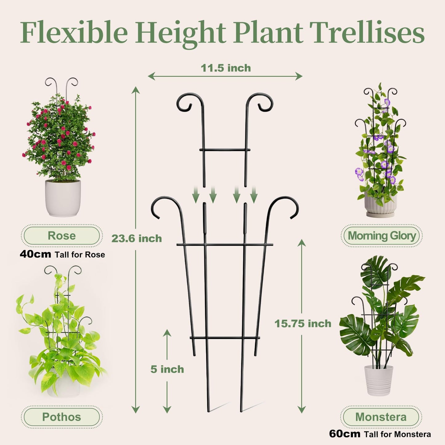 2 Pack 23.6 Inch Small Trellis for Potted Plants - Rustproof Garden Trellis for Potted Indoor Houseplants, Plant Support for Ivy, Pothos, Monstera, Hoya, Flower Vines (23inch/2 Pack)