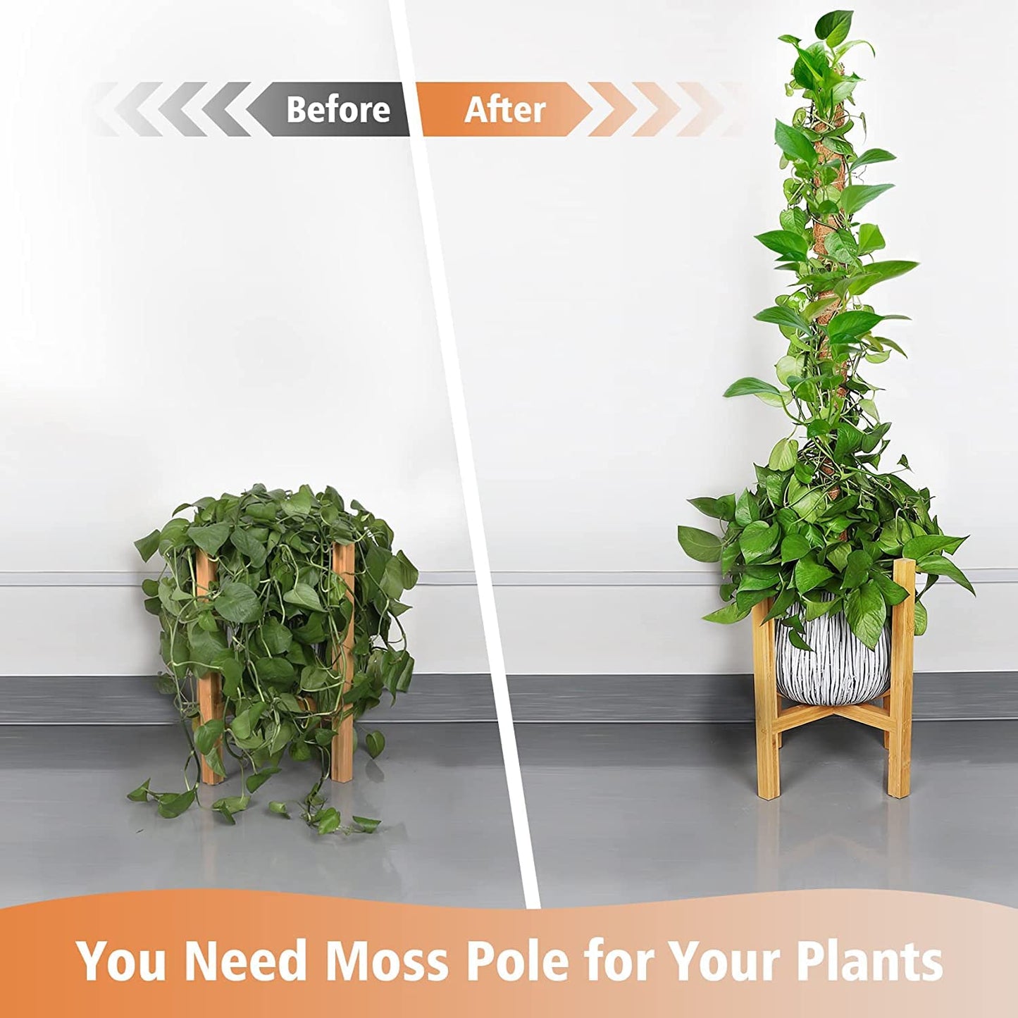 【2 Pack】 JJGoo Moss Pole, 2 Coco Coir Totem Poles Extending to 29 Inches, Plant Support Stick for Indoor Plants Climbing Plants Monstera, Sphagnum, Pothos