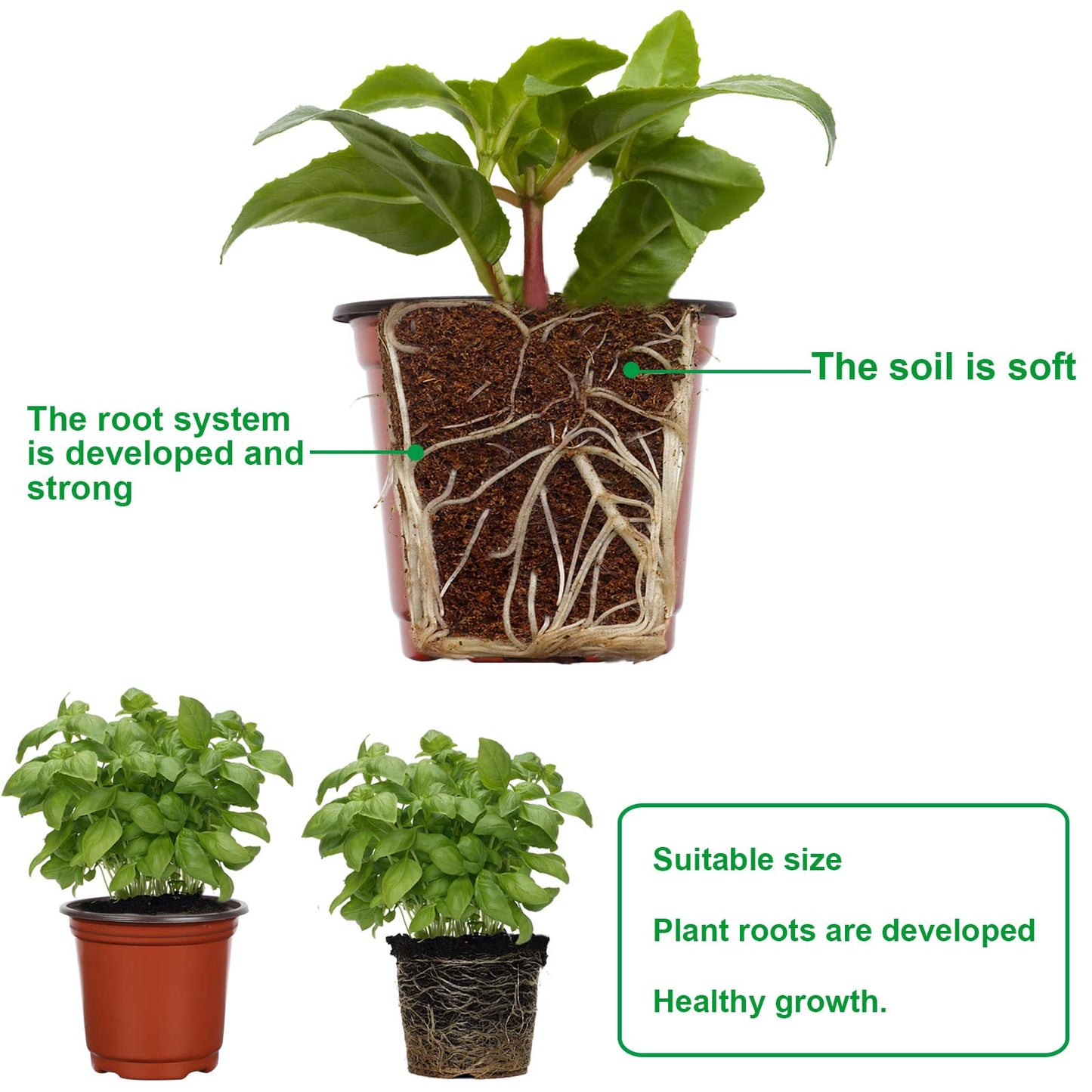 Augshy 40 Pcs 6" Plastic Plant Nursery Seed Starting Pots for Indoor Outdoor Succulent Seedling Cutting Transplanting