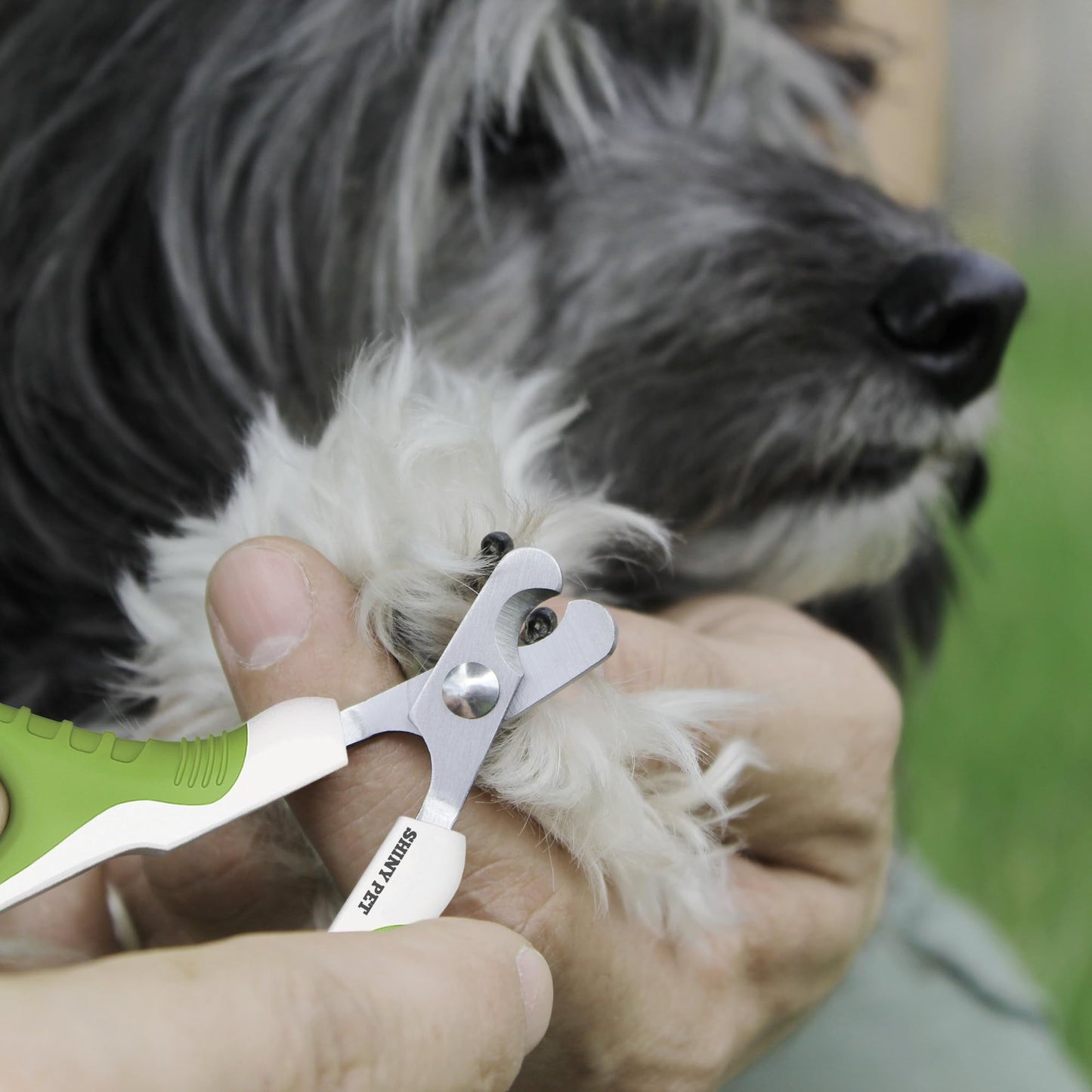Pet Grooming Tool Bundle Set: Cat Nail Clippers [Tool #4] + Pet Nail Clippers [Tool #5]