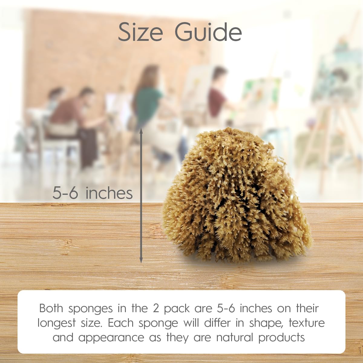 NAROA Natural Artist Sea Sponges for Painting 2 Pack | Large Art Tools for Decorating, Marbling, Sponging, Texturing and Crafts | Great for Artists & Children