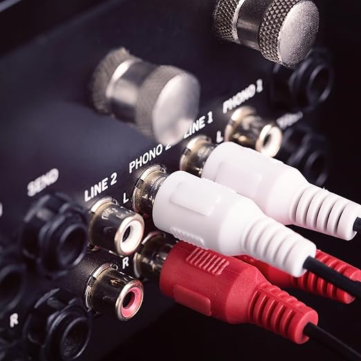 Sjorks RCA Cable 20ft,2RCA Male to 2RCA Male,Audio Stereo Subwoofer Cable [Hi-Fi Sound] Auxiliary Audio Cord for Home Theater, HDTV, Amplifiers, Hi-Fi Systems,Speakers and etc