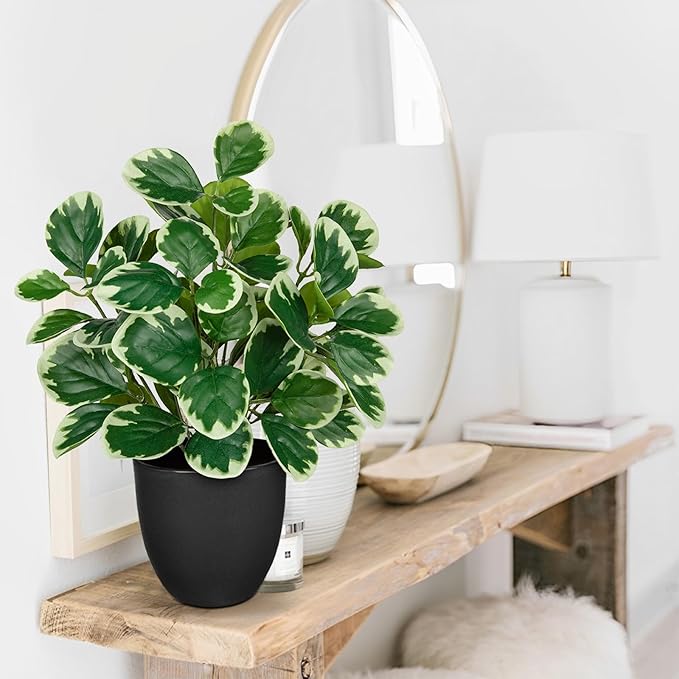 14.5" Artificial Plants Indoor Home Decor, Fake Potted Silk Plants for Shelves Living Room Decorative, Small Artificial Office Desk Plant in Pots, Faux Peperomia Hope Tropical House Plant