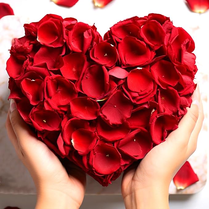 240 PCS Real Red Rose Flower Petals Confetti for Wedding Flower Girl to Throw 2.11oz Freeze Dried Rose Petal for Proposal Centerpieces BabyShower Valentine's Day Romantic Night Decor