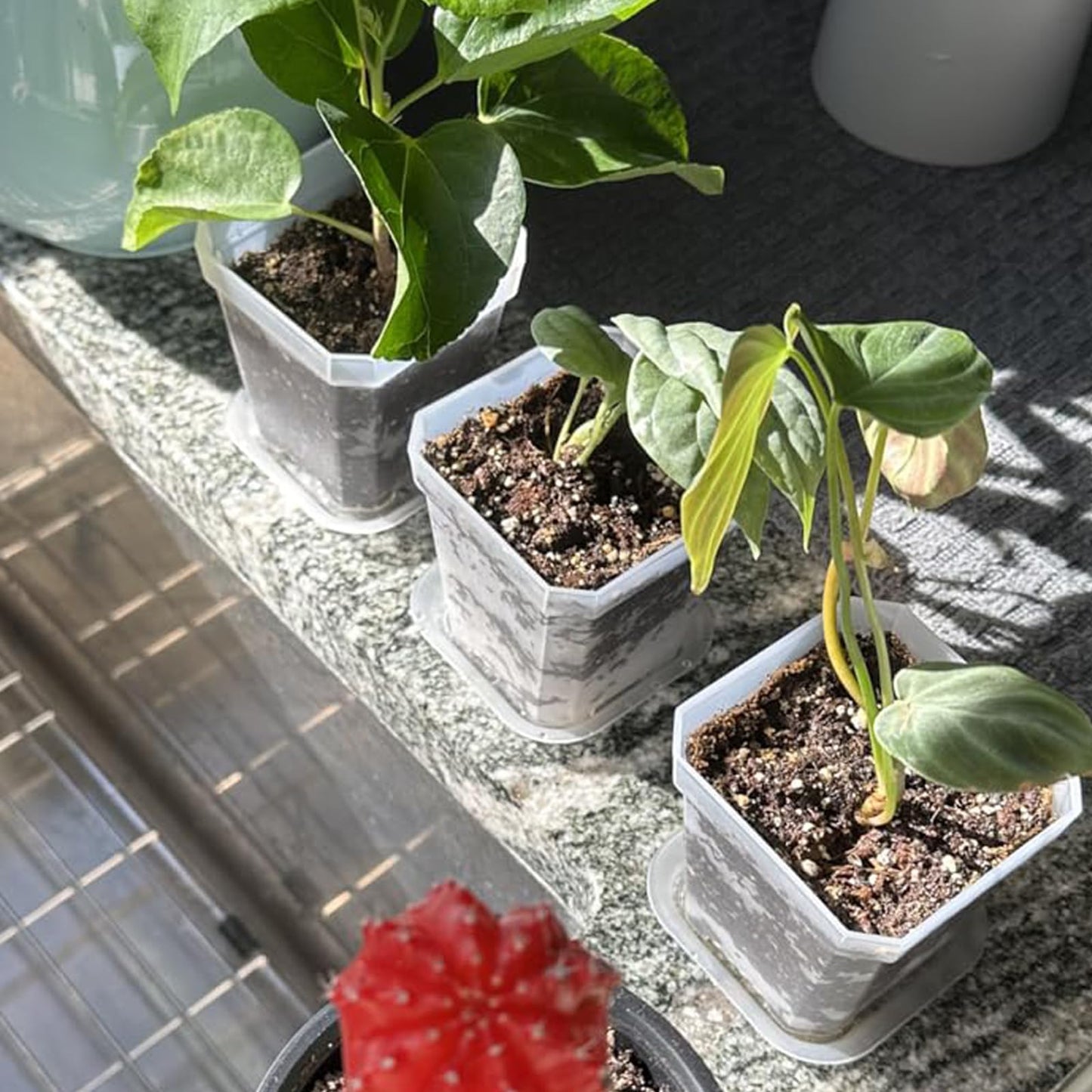 HEIHAK 100 PCS 3 Inches Plastic Square Nursery Pot, Transparent Square Plastic Starter Pots with Saucers and Drainage Hole, Clear Nursery Pots for Your Room, Garden, Office and Balcony Decor