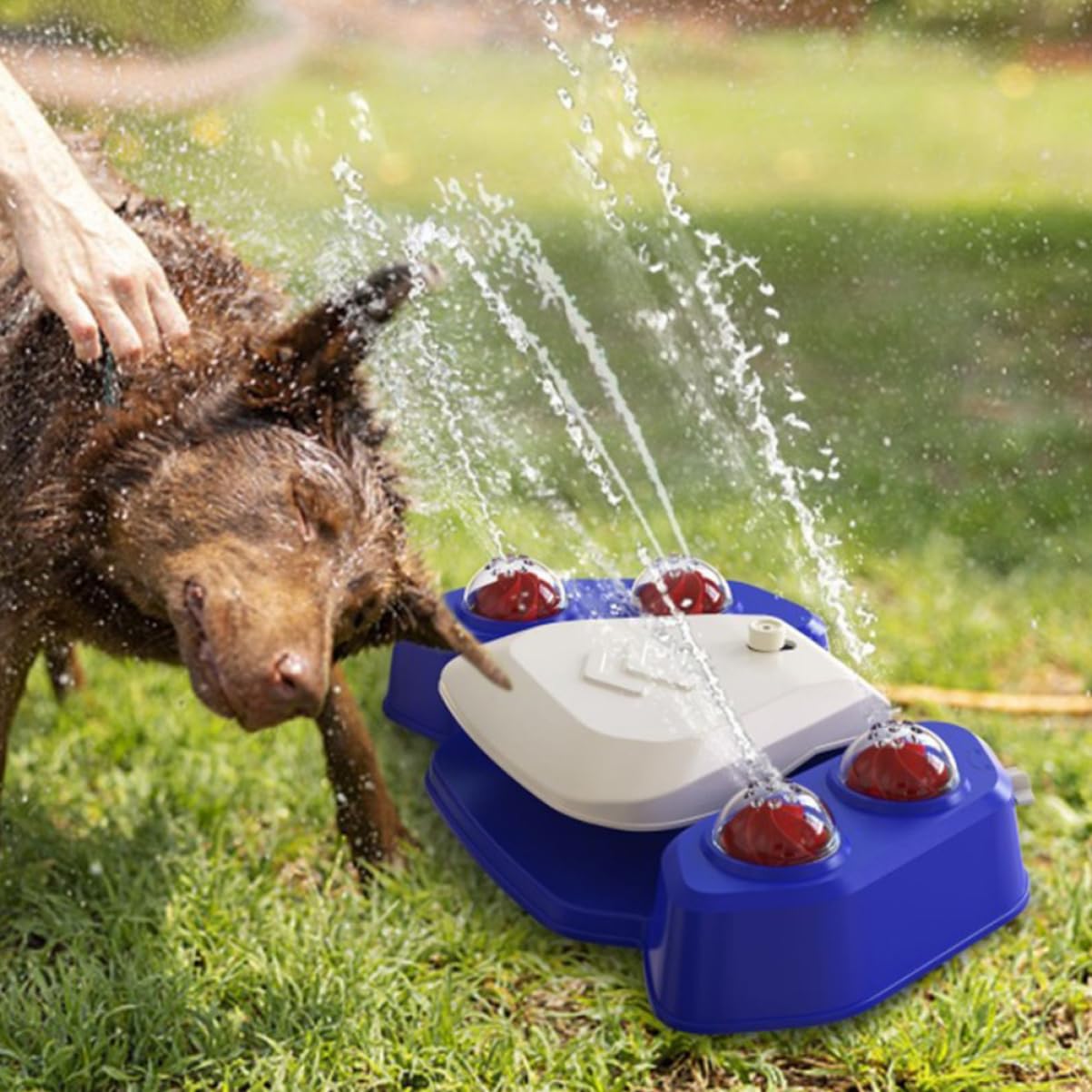 Yardwe Pet Automatic Drinking Fountain and Shower Spray Toy for Dogs Multifunctional Puppy Bathing Water Fountain Creative Water Spray Design