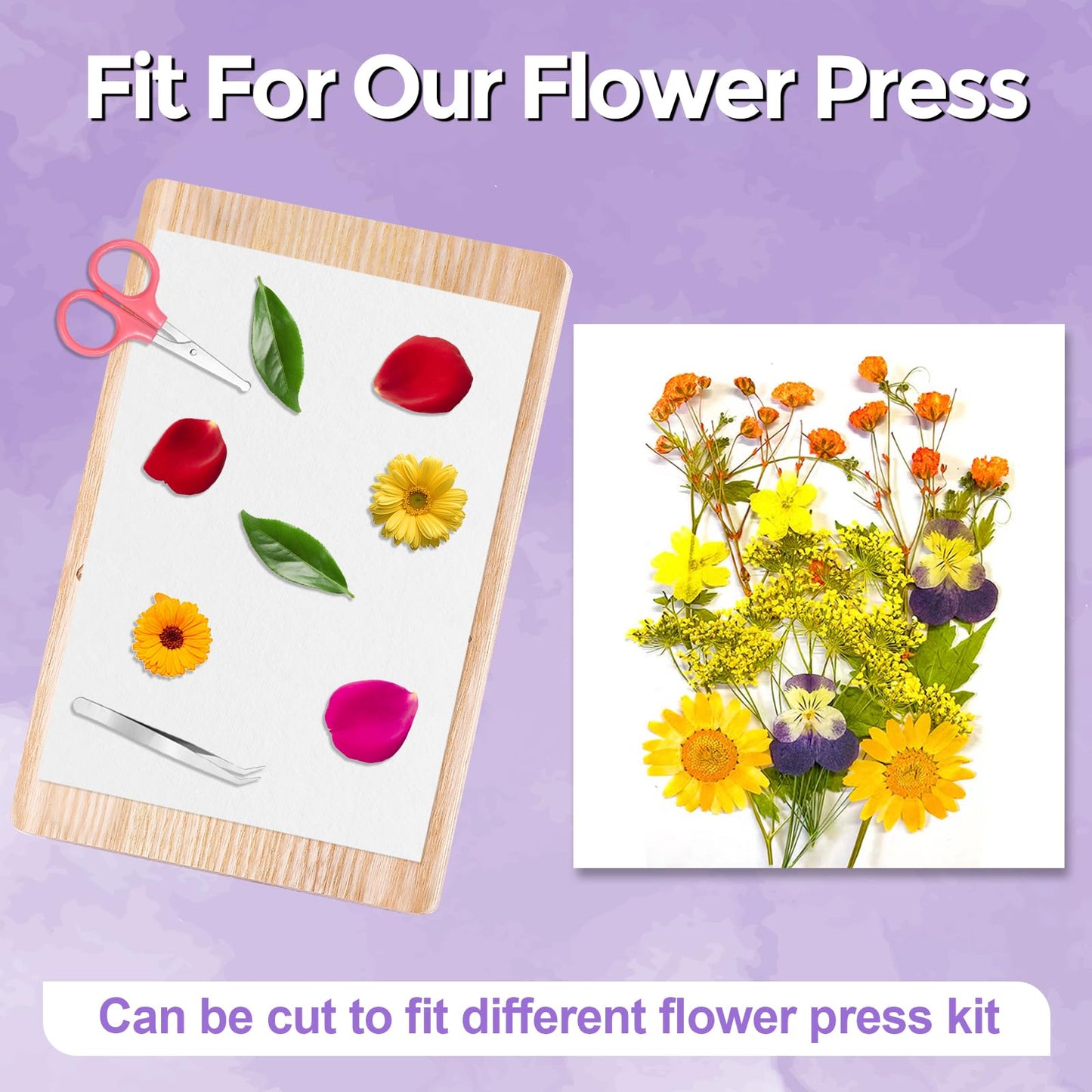 Suziko Flower Pressing Accessories,Blotting Paper for Flower Press,Drying Plates Replacement Dried Flower Leaf Plant Fruit Pressing Replacements for DIY Art Handicrafts Specimens (10.8" x 6.9")