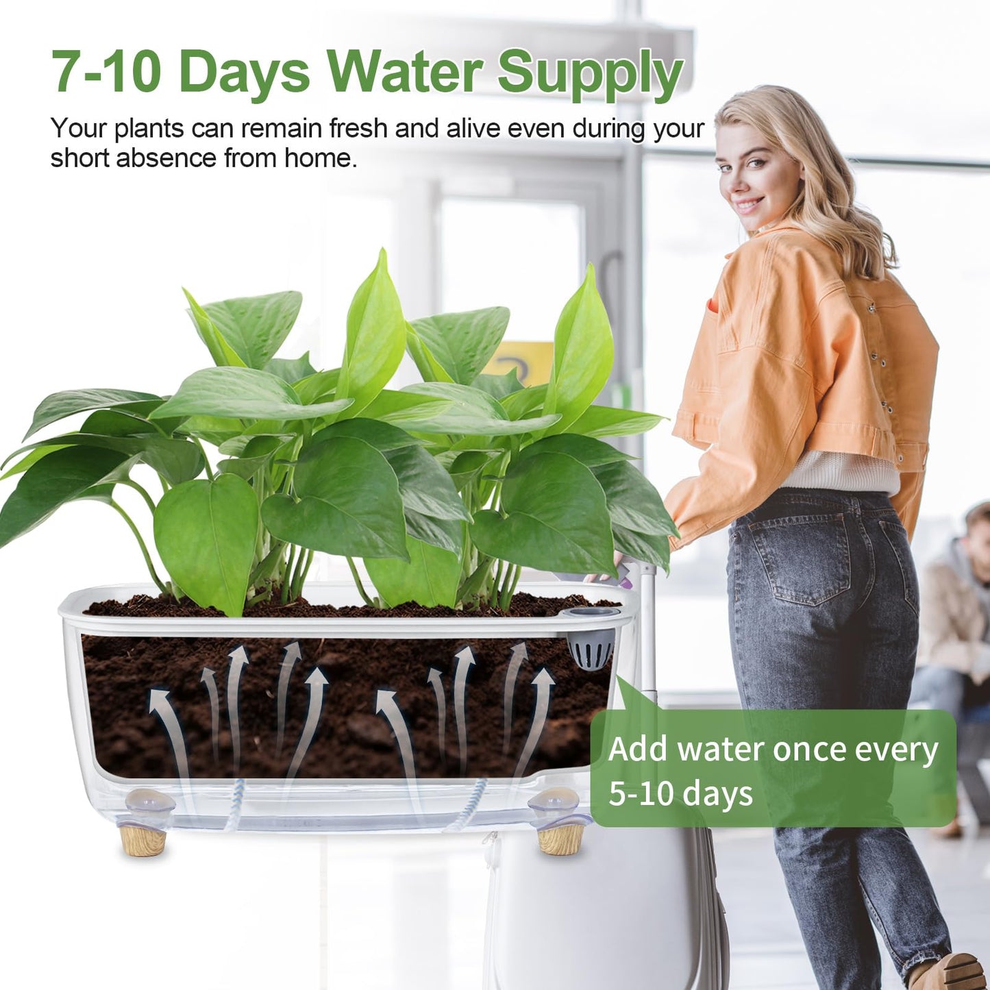 Oliz Self Watering Planter with Coco Coir Pellets, 11.8 Inch Plastic Rectangular Windowsill Plant Pot with Drainage Holes, High Clear Modern Decorative Flower Pot for Indoor Plants, African Violets