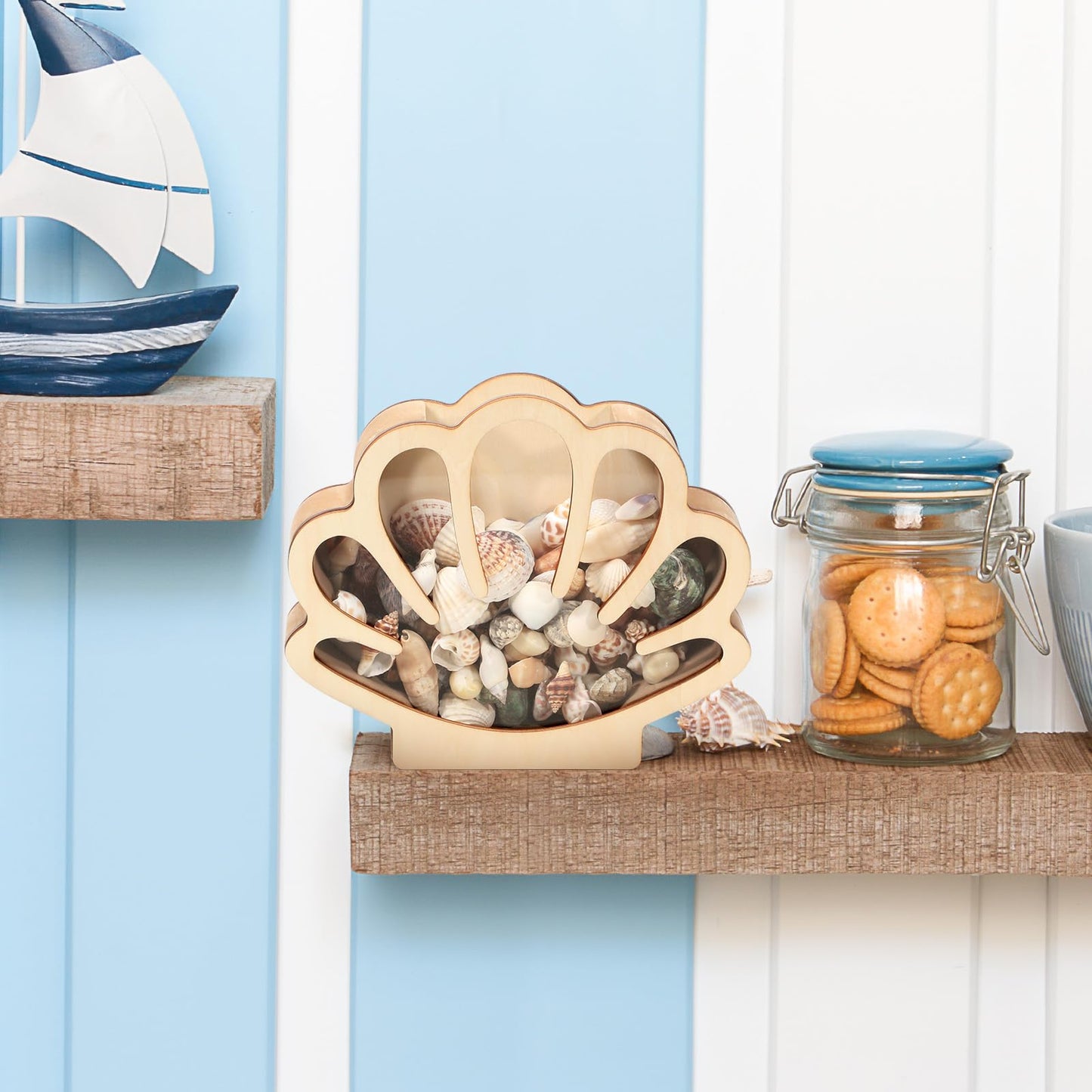 Xylolfsty Seashell Display Box Wooden Seashell Holder with Acrylic Panel Storage Box for Shells Sea Glass Small Starfish Shark Tooth Seashell Collection Home Decor Birthday Present