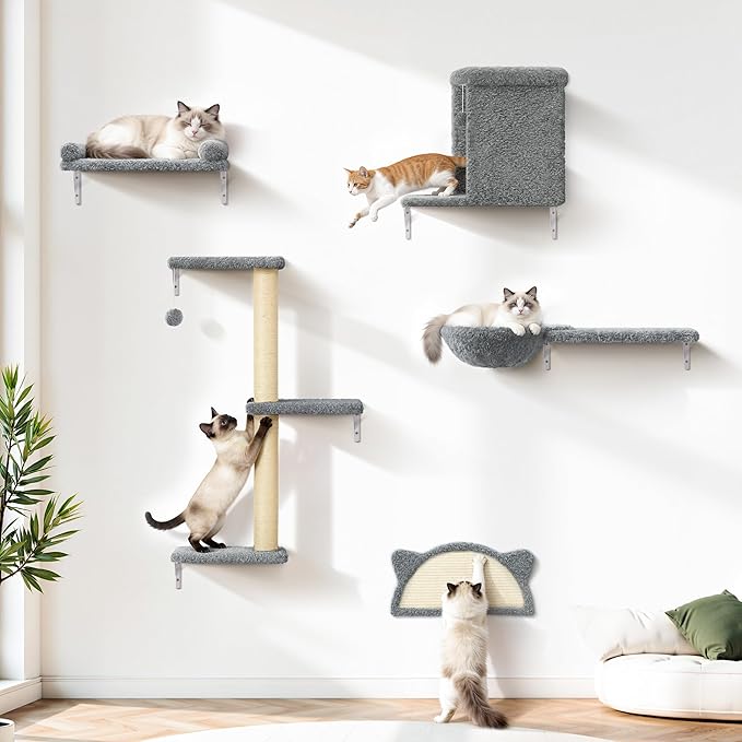 5-in-1 Cat Wall Shelves, Solid Wood Cat Wall Furniture Set for Indoor Cats