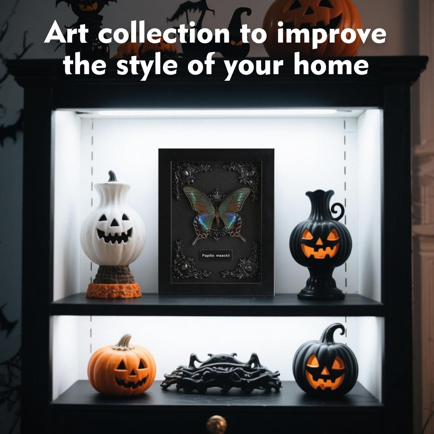 Real Framed Butterfly Taxidermy - Shadow Box, Real Framed Butterfly in a Box for Gothic Home Decor Aesthetic (B_Alpine Black Swallowtail Black Background #1)
