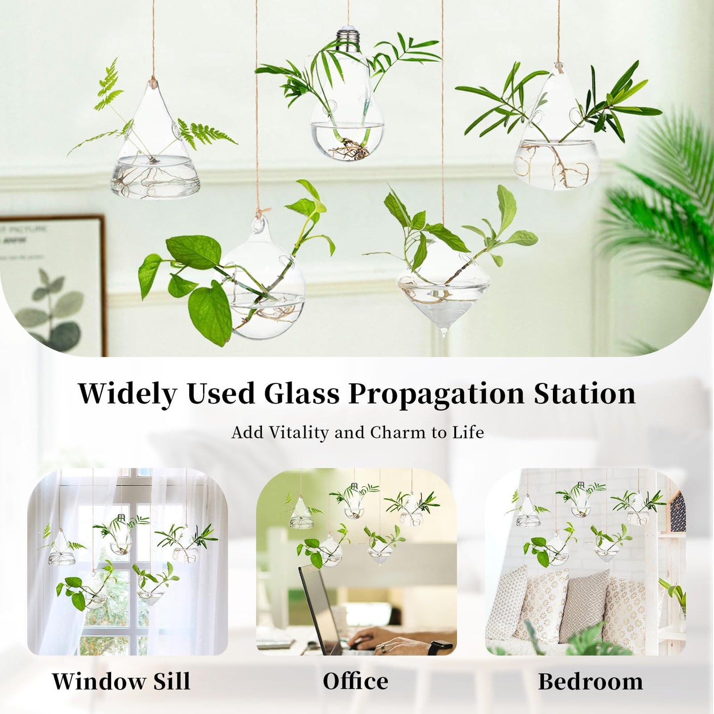 Glasseam Hanging Planters Glass Terrarium: 5Pcs Modern Plant Propagation Stations Hydroponic Wall Vases for Air Plants Flowers Indoor Window Home Decor