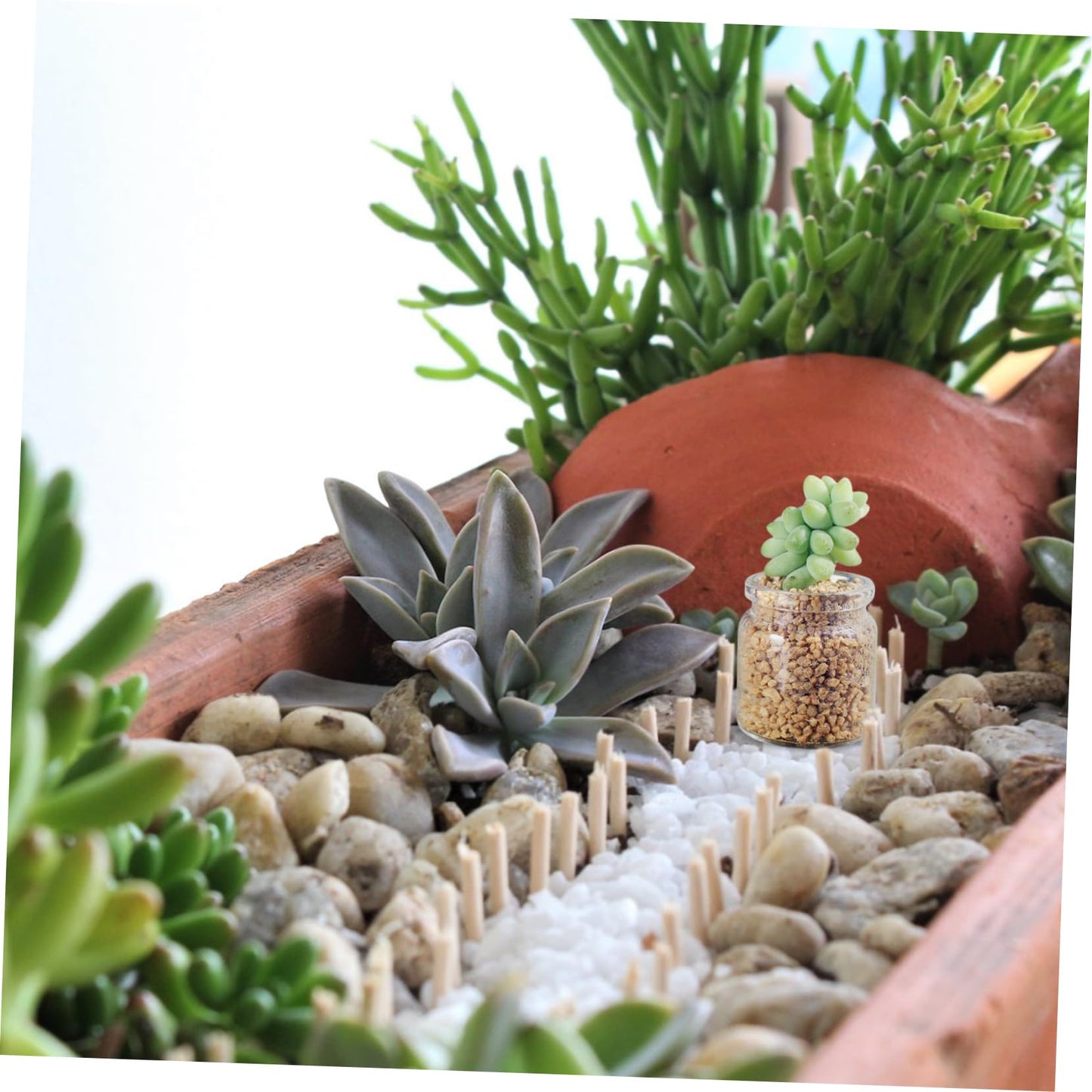 Mipcase 10pcs Mini Glass Bottles Succulent Landscape Decor Test Tube Vases Micro Terrariums for Plant Propagation