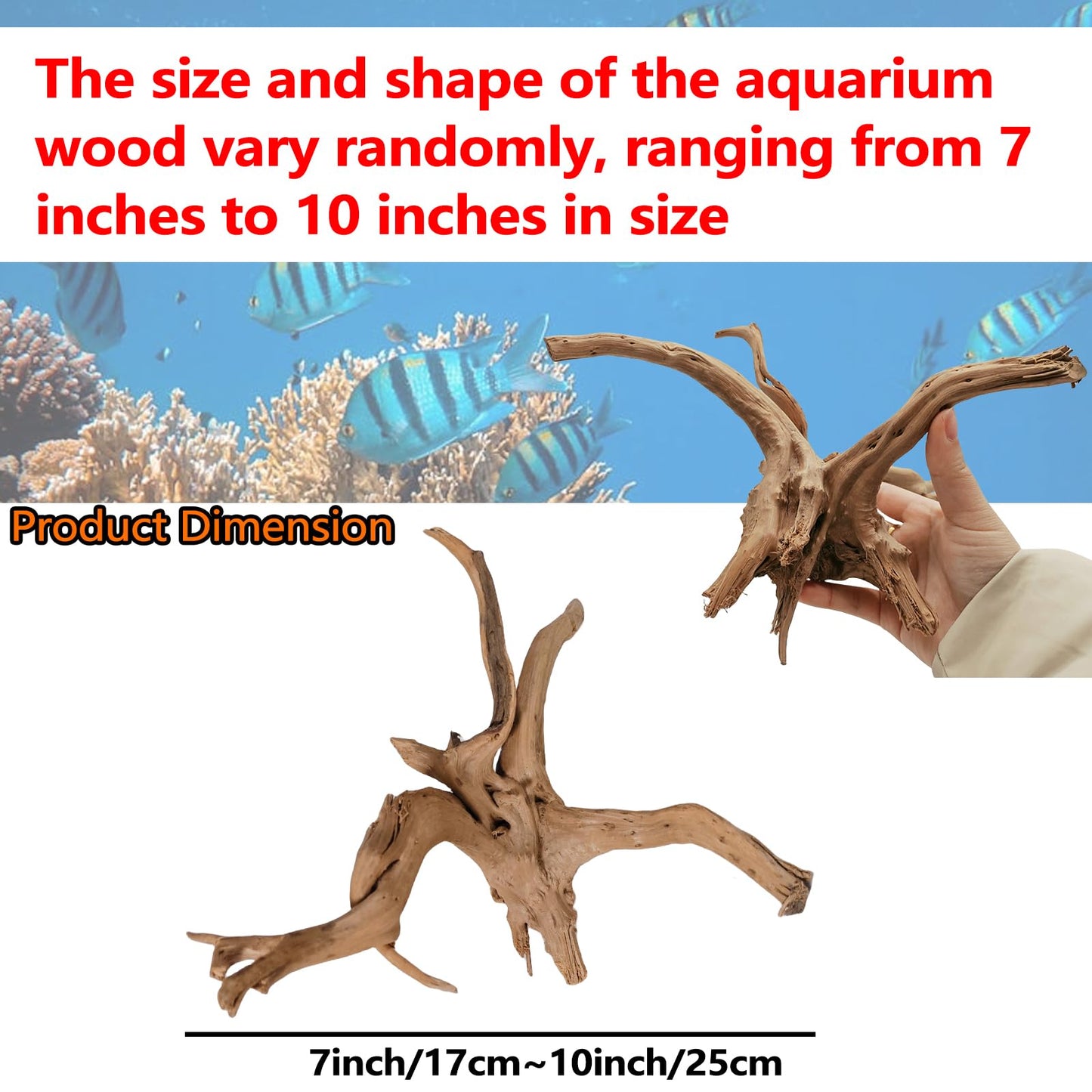 Hamiledyi 7-10in Natural Aquarium Driftwood 2PCS Large Reptile Spider Wood Ornament Assorted Branches Natural Driftwood Log Fish Tank Decoration