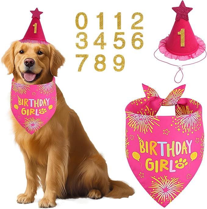 Agroon Rose Pink Girl Dog Birthday Party Supplies with Hat Bandana Numbers