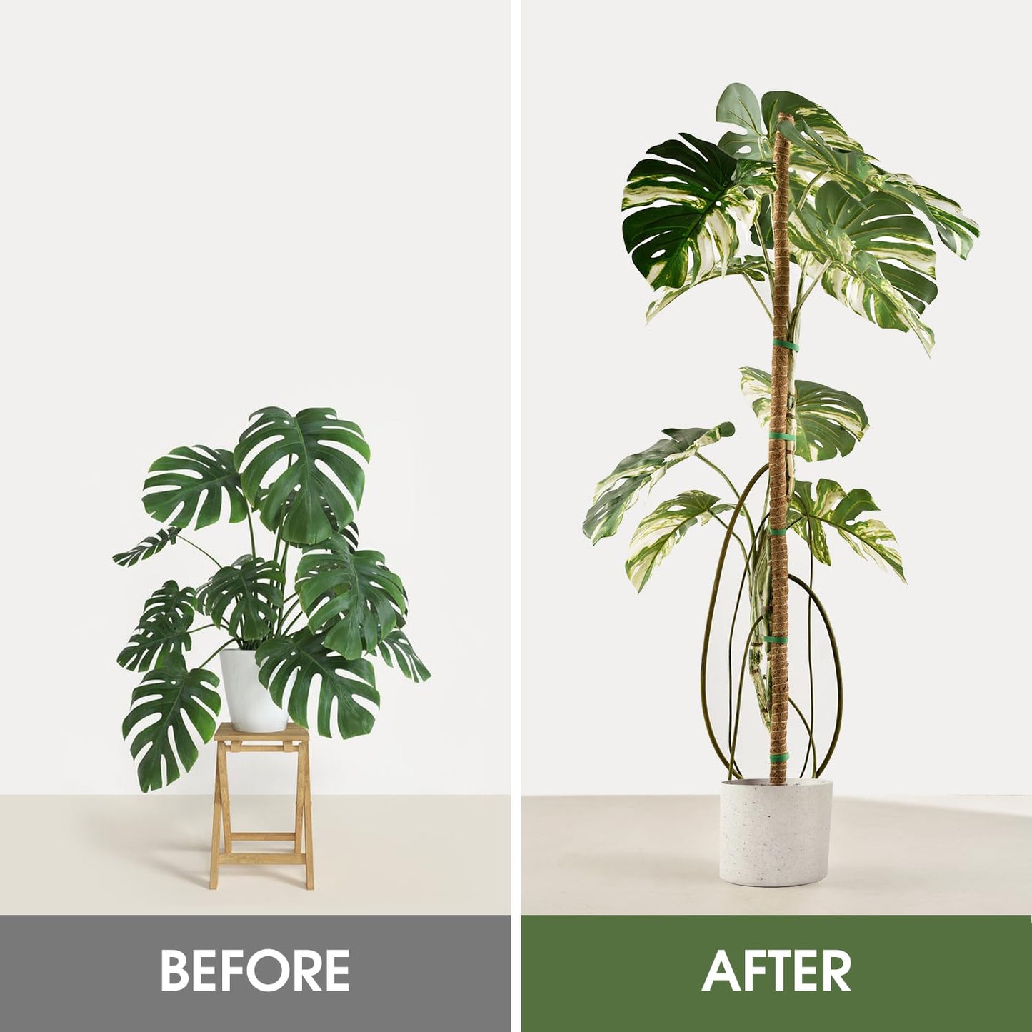3 Pack Moss Pole, 50 Inch Moss Poles for Climbing Plants Stakes Indoor Monstera Support Tall Large Bendable Long Coco Coir DIY for Potted Plants, Pothos, Philodendron