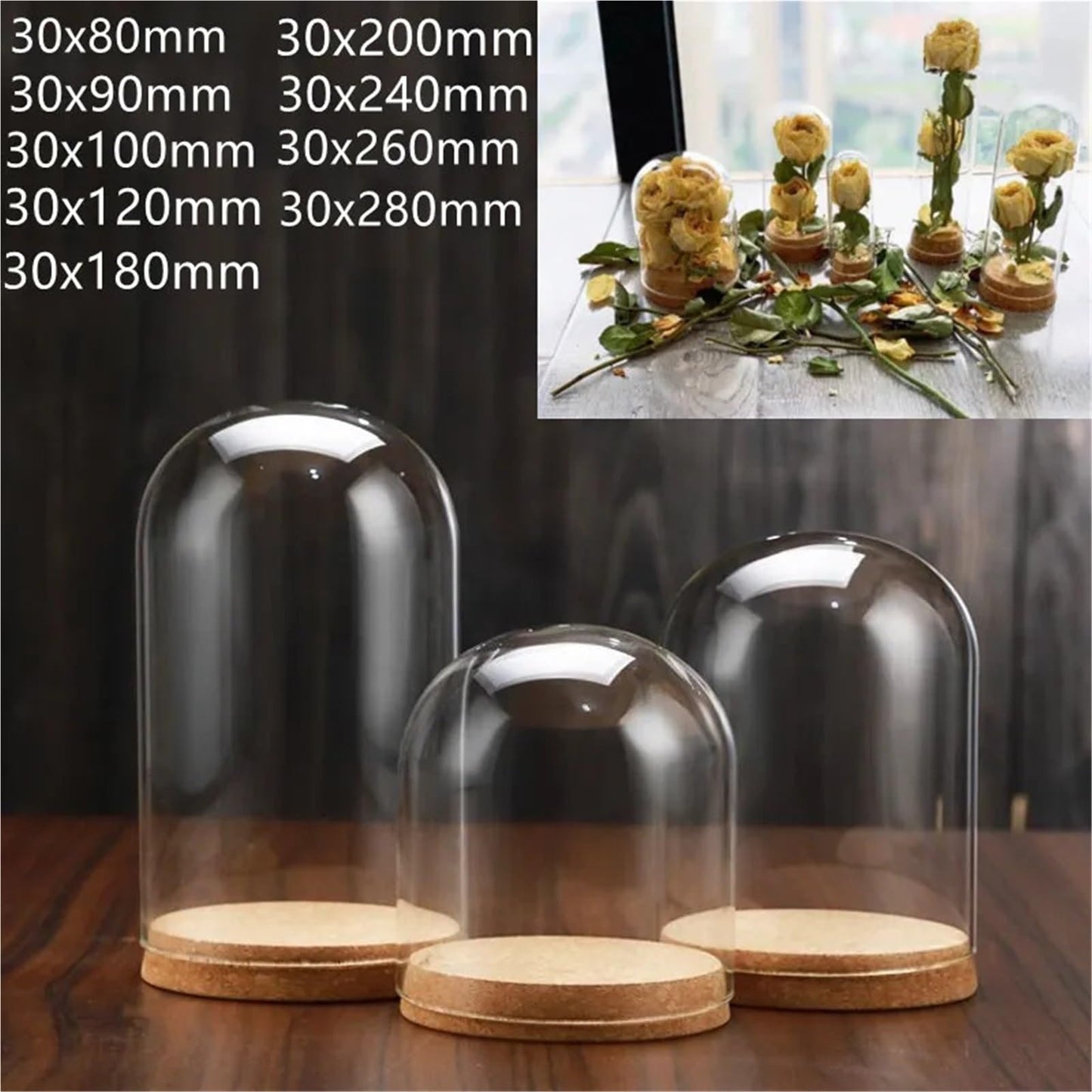 10X Da30mm Glass Bottle Terrarium Jar Cork Base Dome Dust Cover DIY Specimen Succulent Plant Micro Landscape Flower Vase Display(30x40cm)