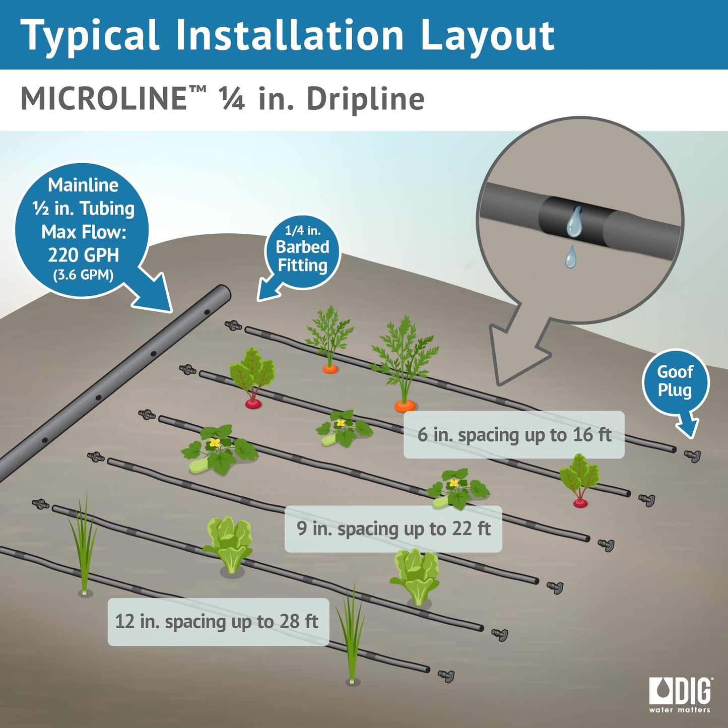 DIG ML-056, 50’, ¼” Microline™ Dripline - Enhanced 6” Emitter Spacing, UV-Resistant, Perfect for Diverse Garden Layouts (Black)