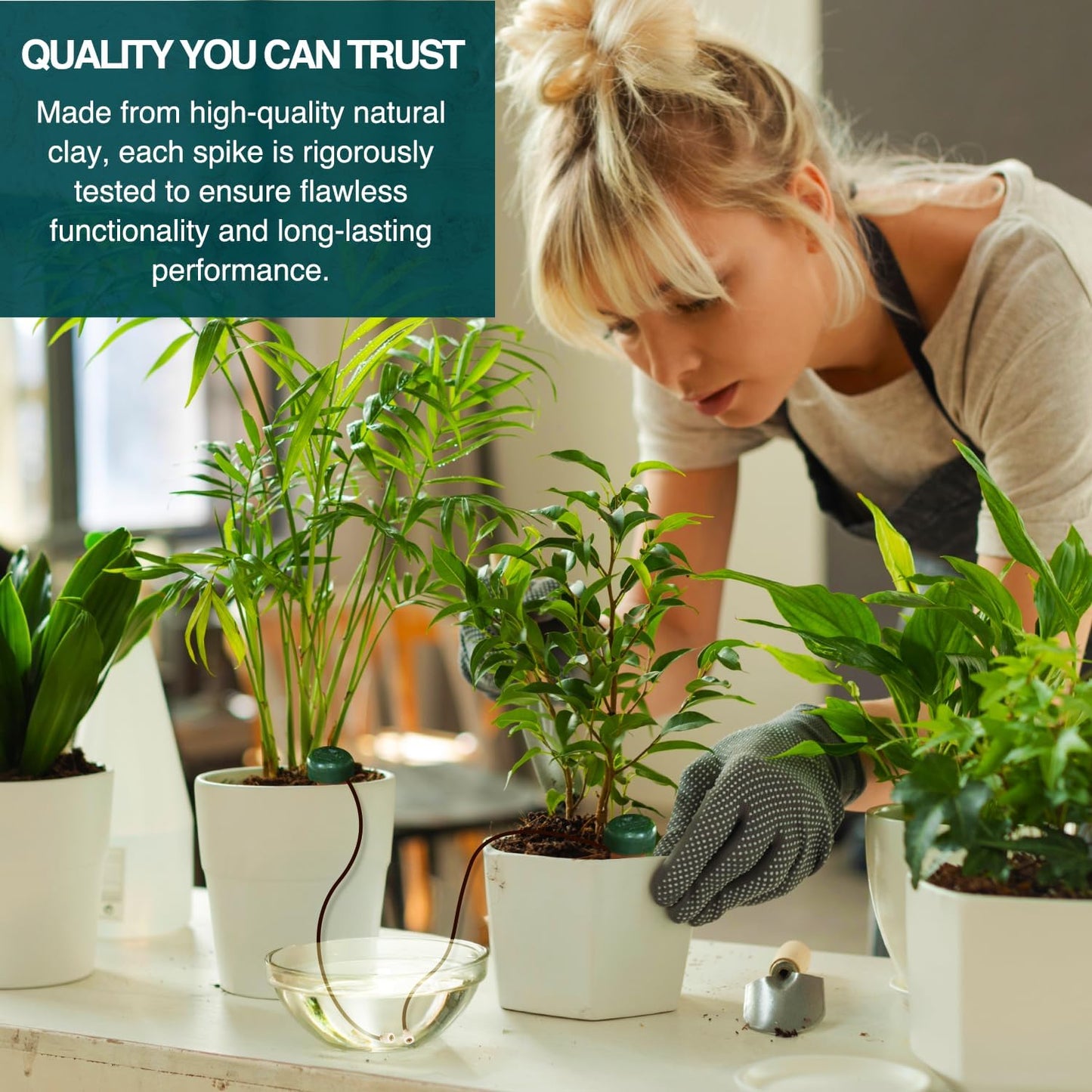 Blumat Classic Self-Watering Stakes - Prevents Overwatering and Underwatering for Healthy Growth While You are Away - Ideal for Indoor Plant Watering, 3 Pack, wo Adapter