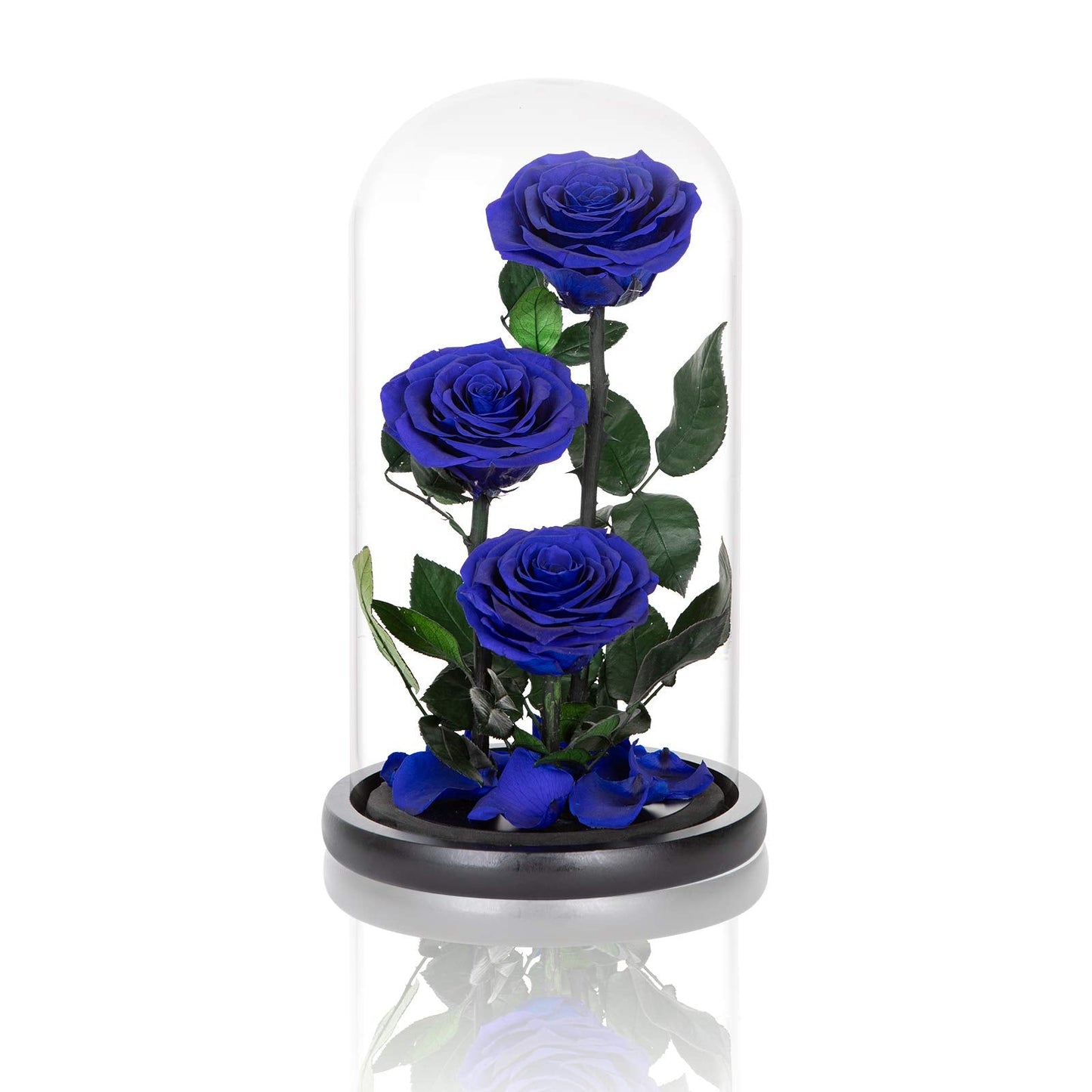 Preserved Roses Handmade Preserved Flowers in Glass Dome, Blue Rose Never Withered, Birthday Gifts for Women (13 inch)