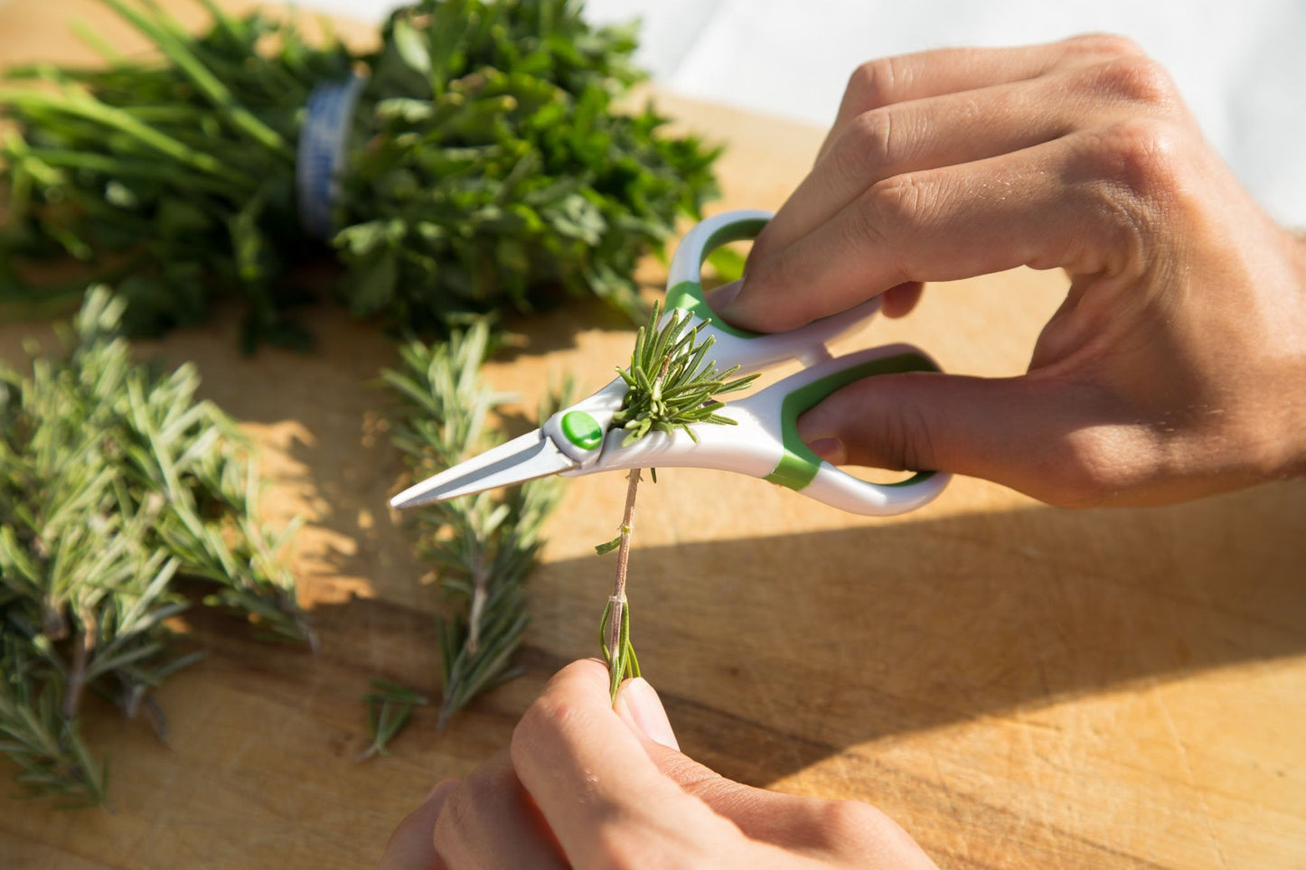 Zyliss Heavy Duty Home & Kitchen Herb Shears Scissors with Innovative Stem Stripper, Versatile Kitchen Shears for Trimming Weeds, Flower Buds & More - White/Green - 8.5 x 4.2 x 0.4 inches