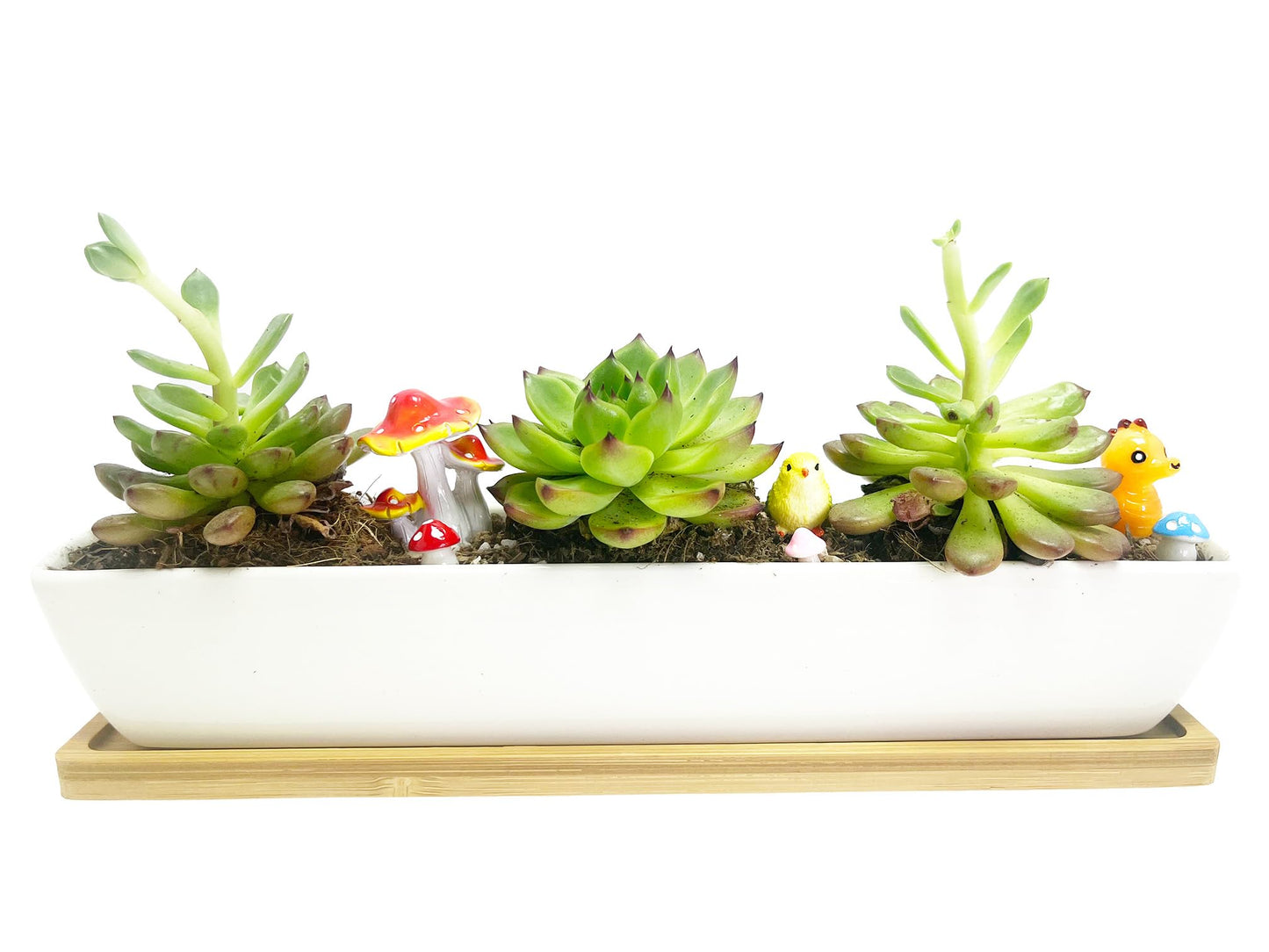 WISH HALLY WOOD 11inch Long Rectangle White Ceramic Succulent Planter Pots/Mini Flower Plant Containers with Bamboo Saucers. Product Size:11x2.23x1.69inch,not Include The Plant. (Long Rectangle)