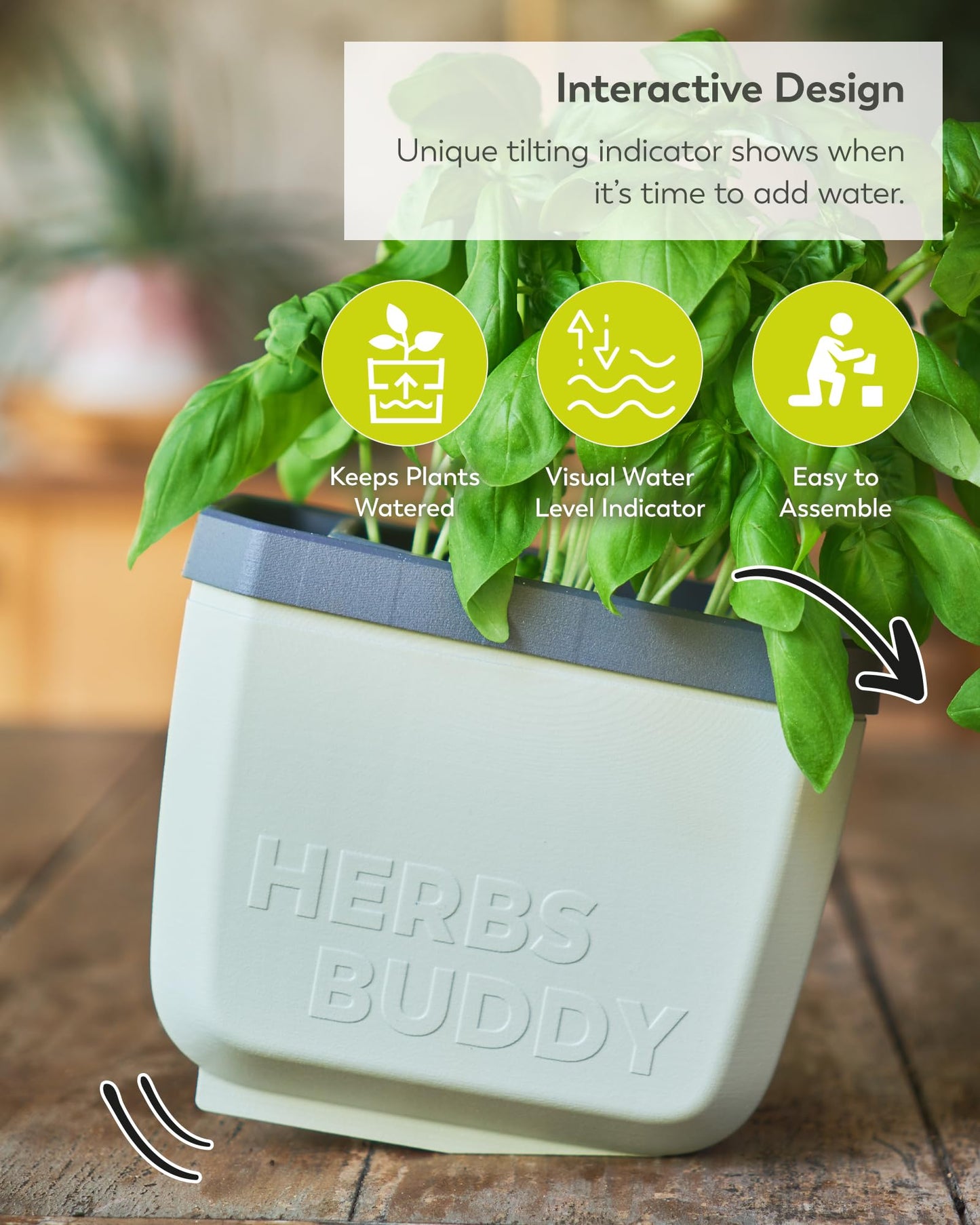 BUZZY Seeds Herb Buddy Self-Watering Herb Planter with Water Level Indicator – Indoor Kitchen & Windowsill Planter (Grey)