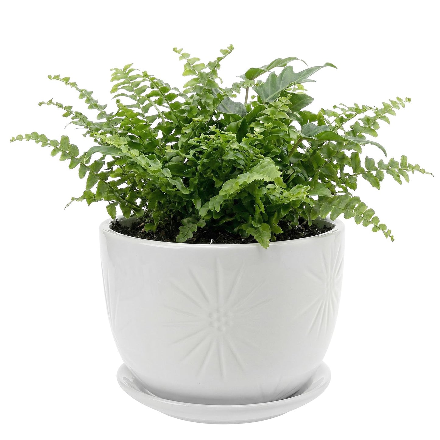 MyGift 7 Inch Round White Ceramic Plant Pot with Drainage Hole and Attached Saucer, Modern Decorative Embossed Sunburst Planter Container for Indoor Home Garden