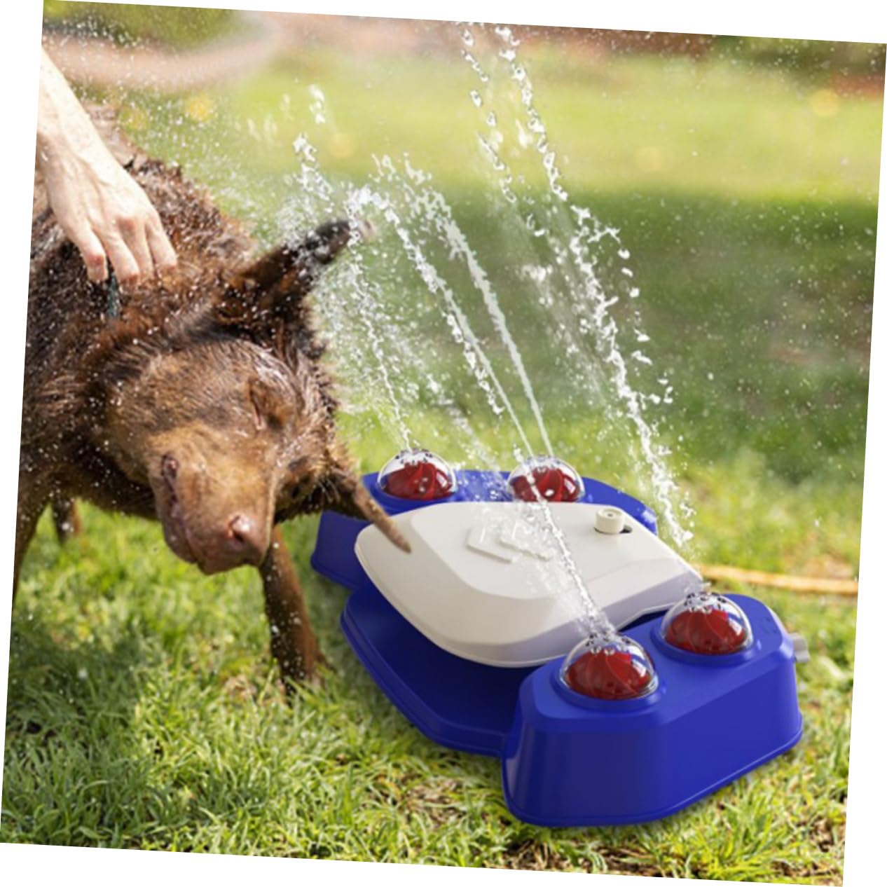 HOMOBABE Pet Automatic Water Dispenser Shower Spray Toy Versatile Water Spray Fun for Dogs Interactive Plaything for Bathing and Outdoor Activities