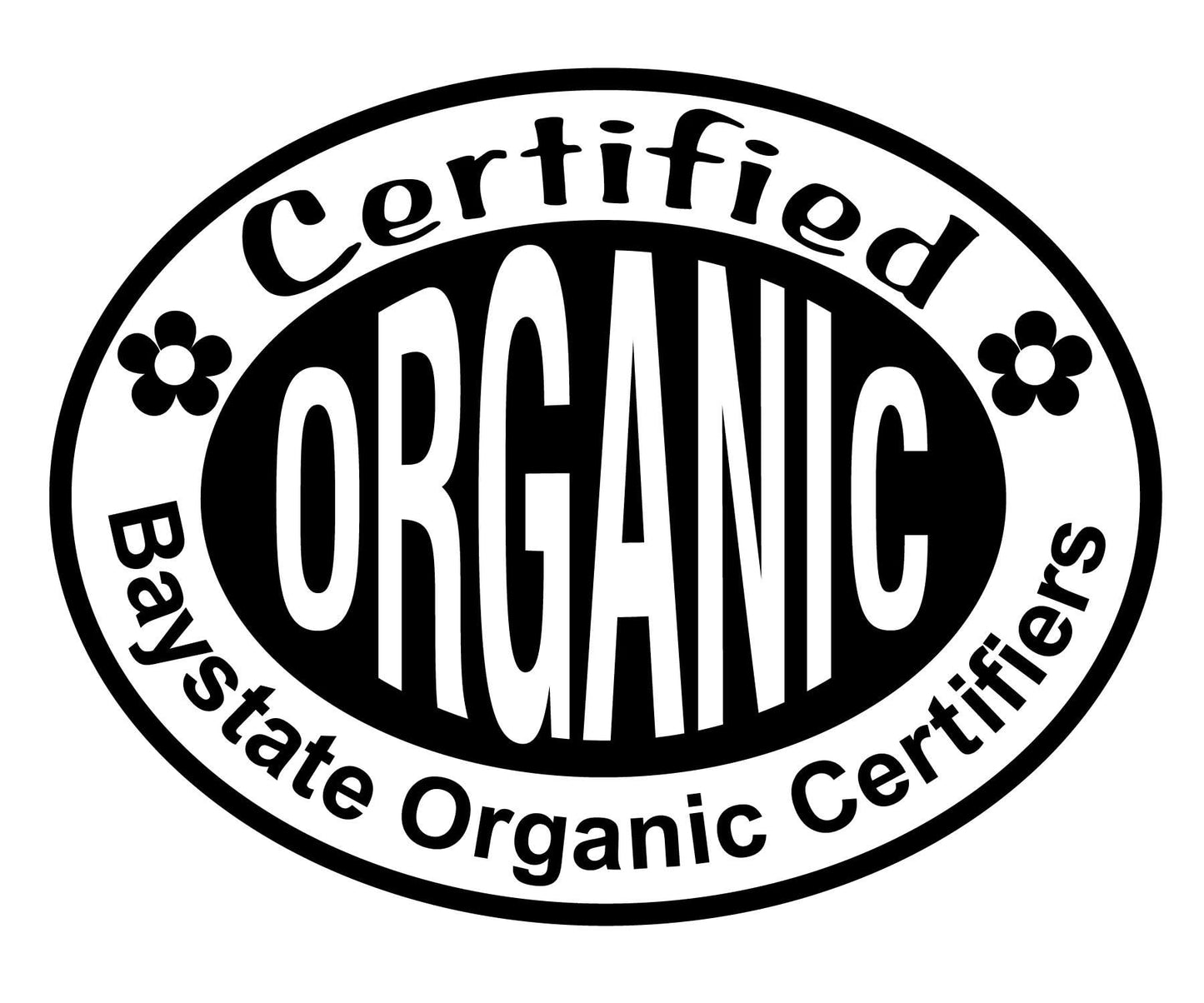 Smoke Camp Crafts Organic Winter Savory Plant in 2.5-inch Pot, Live Perennial Herb