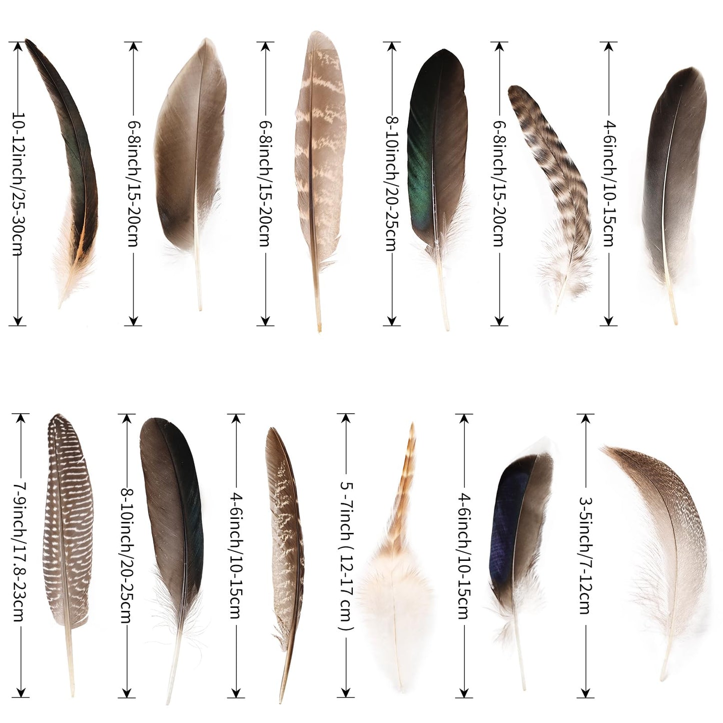 Natural Feathers Bulk - 150PCS - 12 Styles Assorted Natural Feathers, Pheasant Feathers, Turkey Feathers for DIY Crafts, Wedding, Crafting Supplies