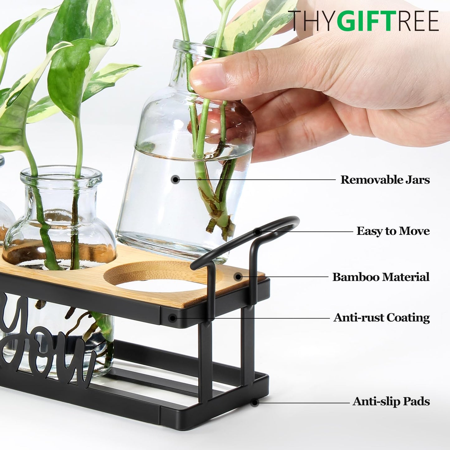 THYGIFTREE Plant Propagation Stations, for Plant Lovers Rooting for You Propagate Jars for Hydroponic Cuttings Propagating Vase