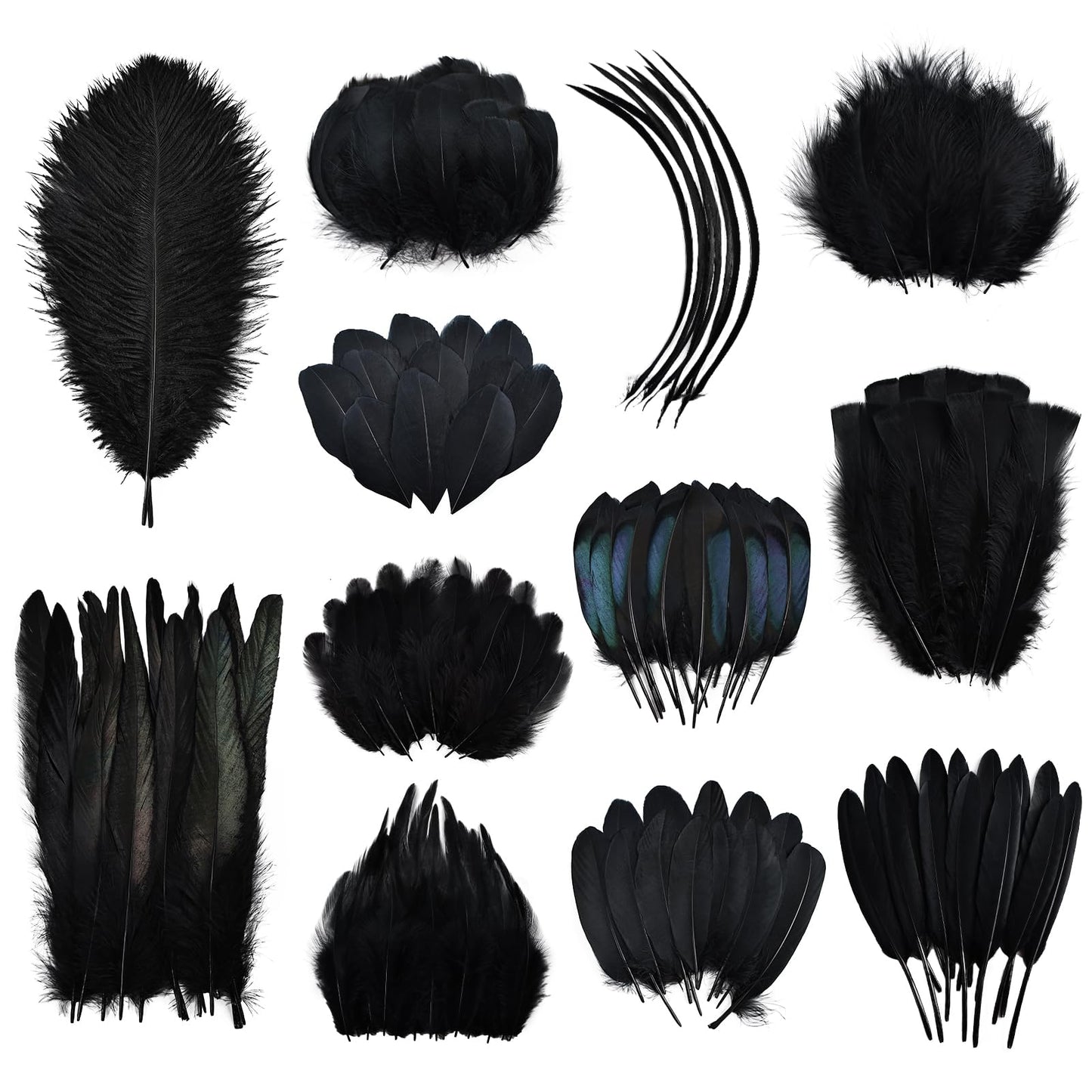 Daieeparty 360pcs Small Pheasant Feathers 12 Style Mixed Feathers Natural Feathers for Crafting Wedding Dream Catcher Hats Decoration